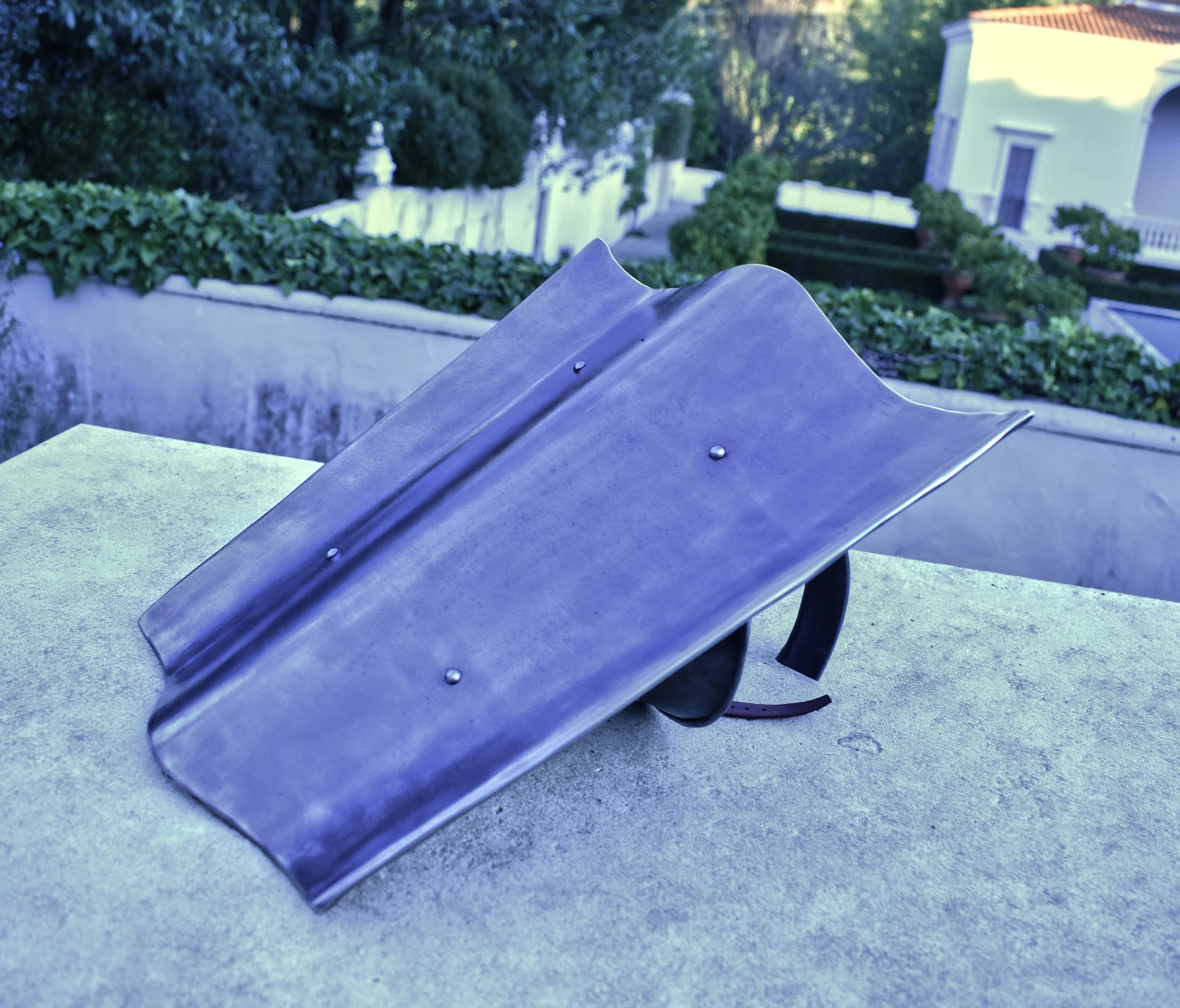 Targa Shield