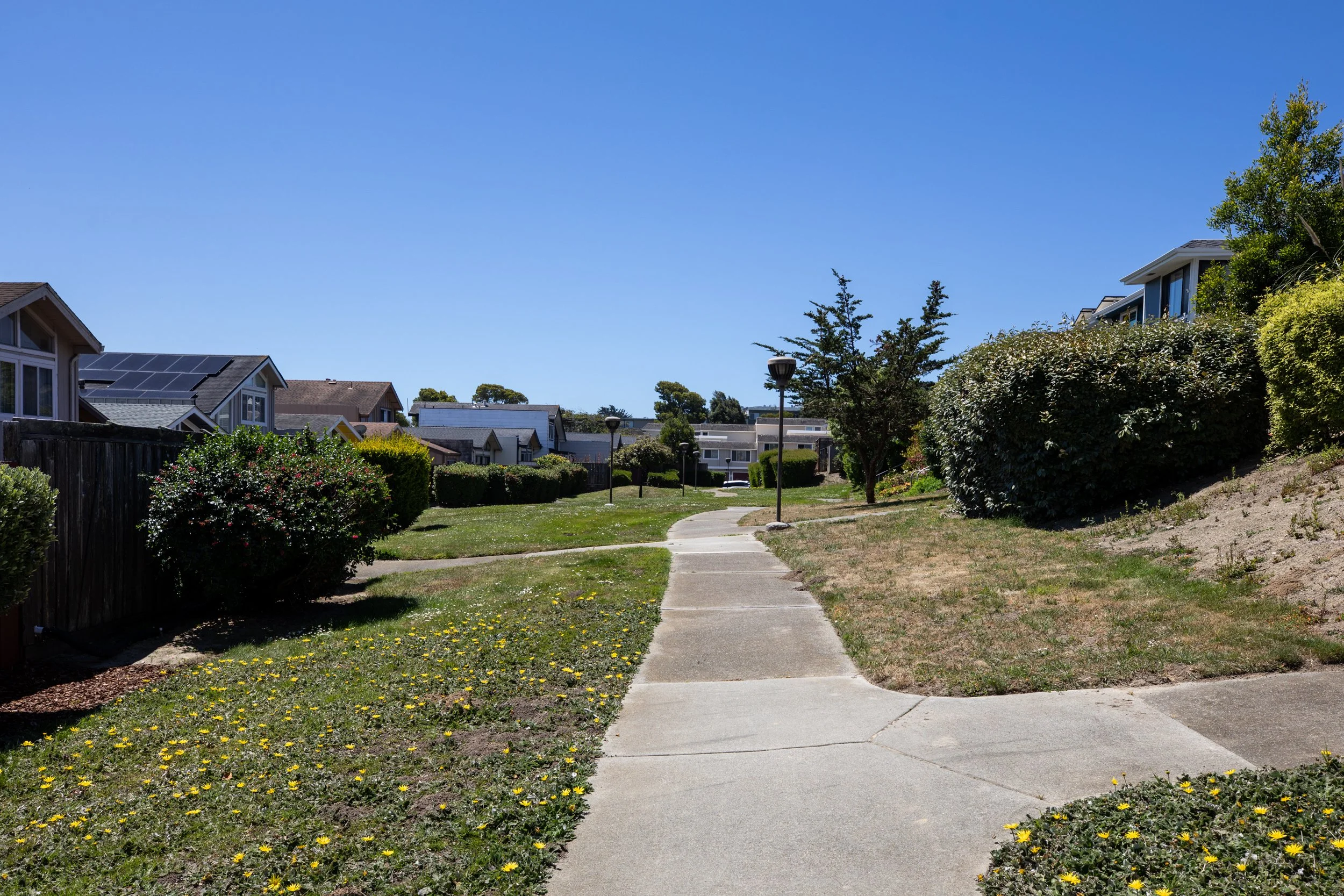 38-Geddes_Matt_Anello-5767-MLS.jpg