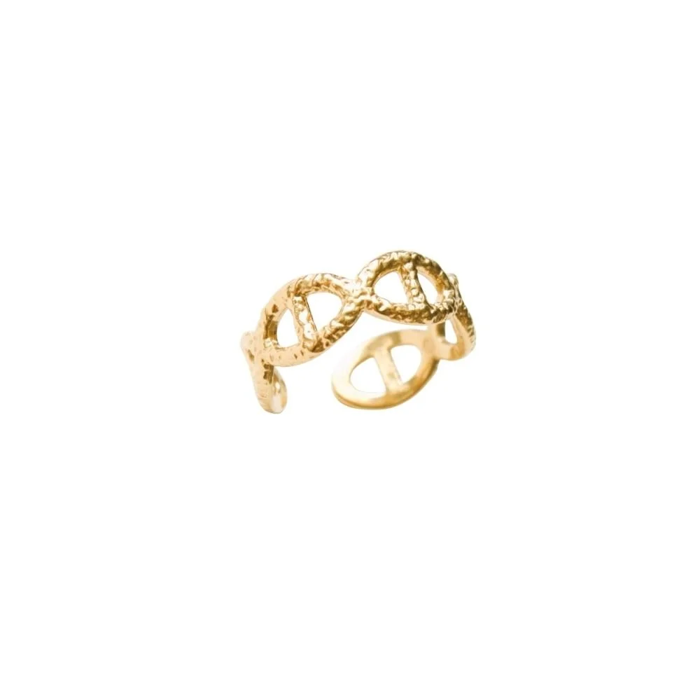 Anillo anette.jpg