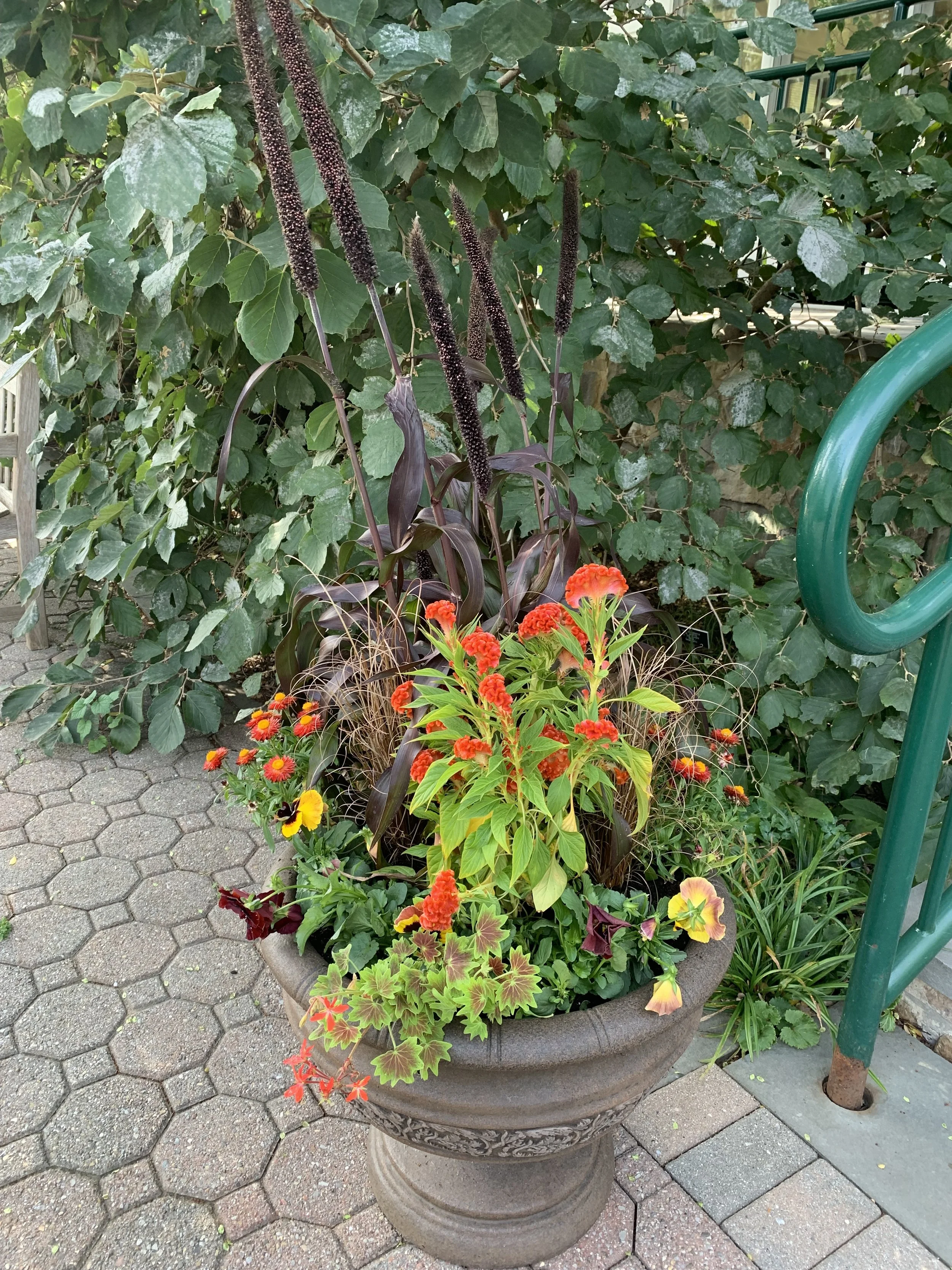 IMG_3025.jpeg