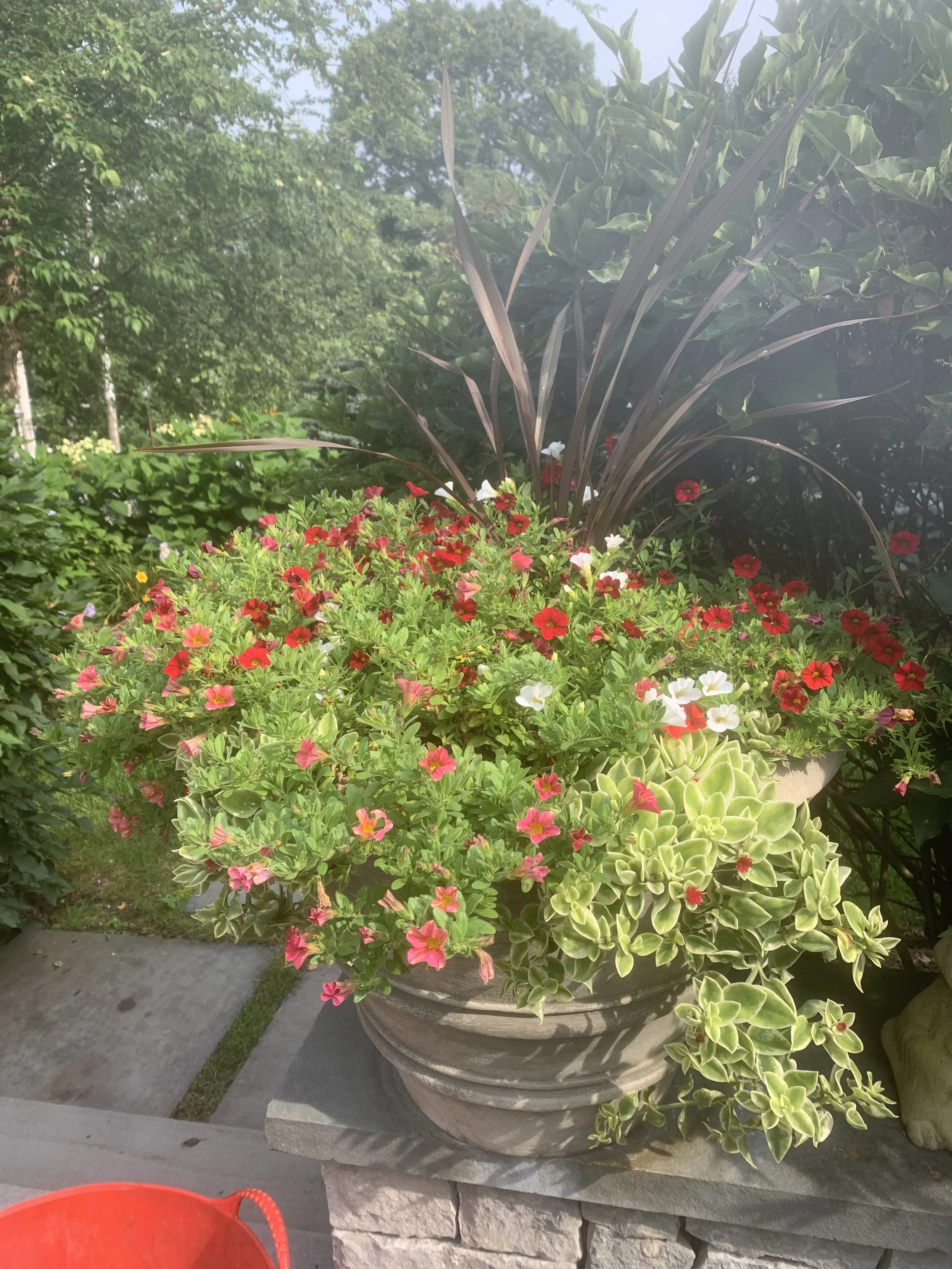 IMG_7948.jpeg