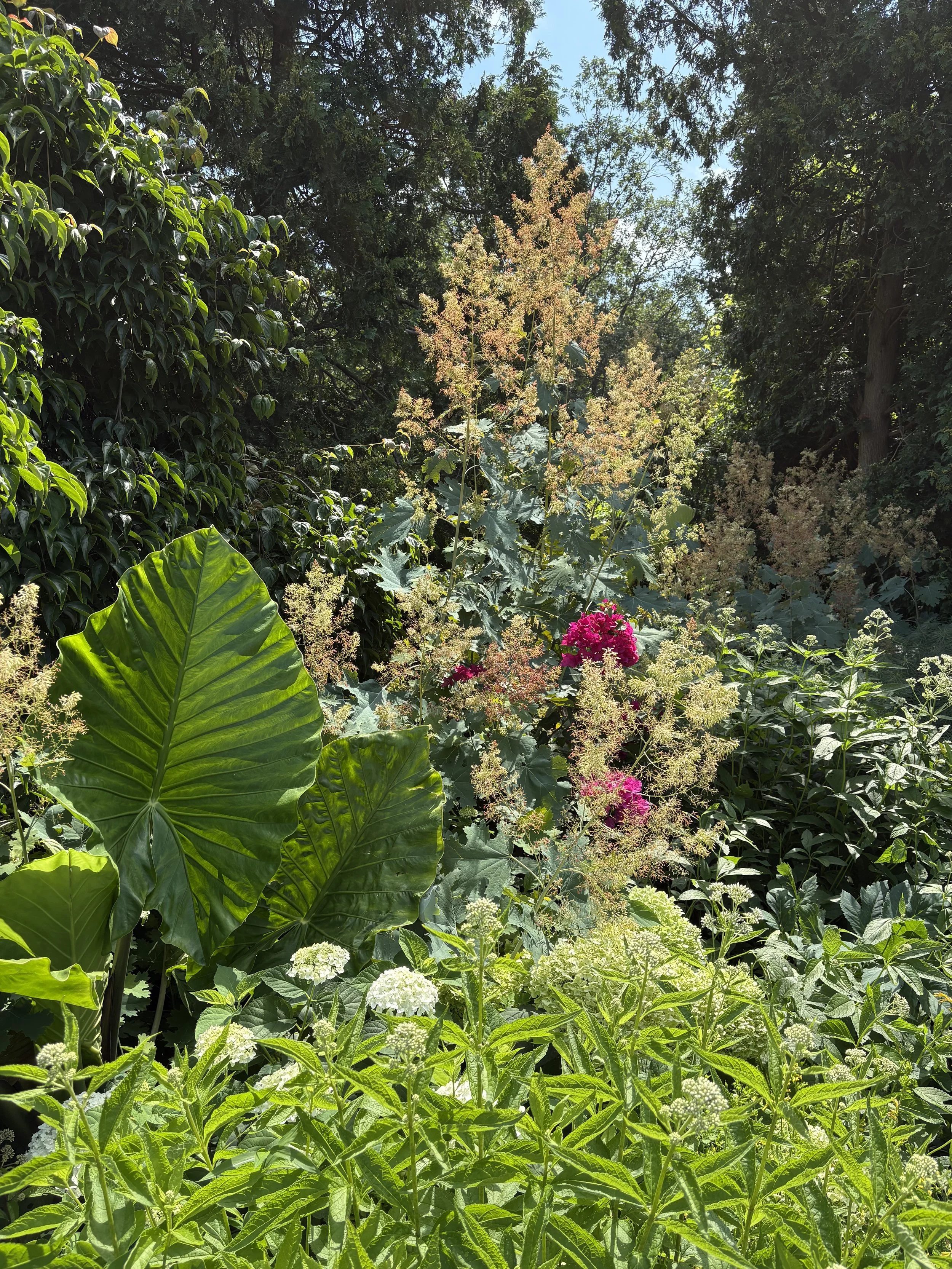 IMG_3078.jpeg