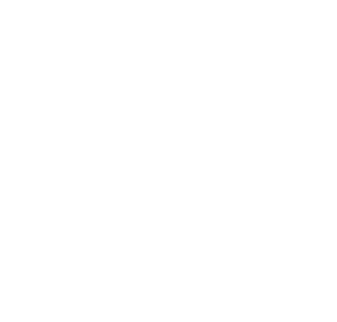 Flame Icon