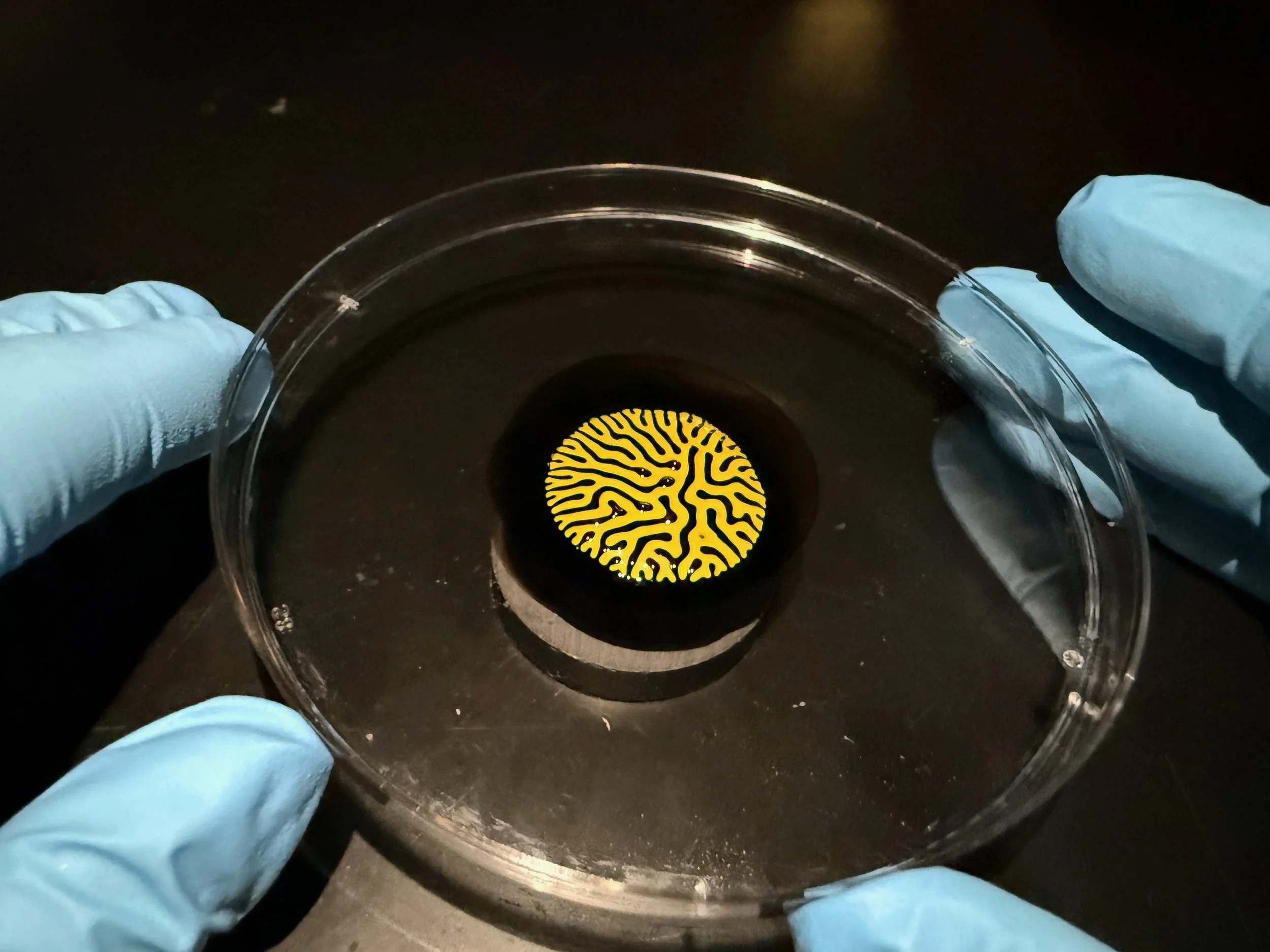 ferrofluid painting: setup