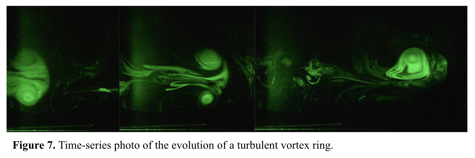 turbulent vortex ring