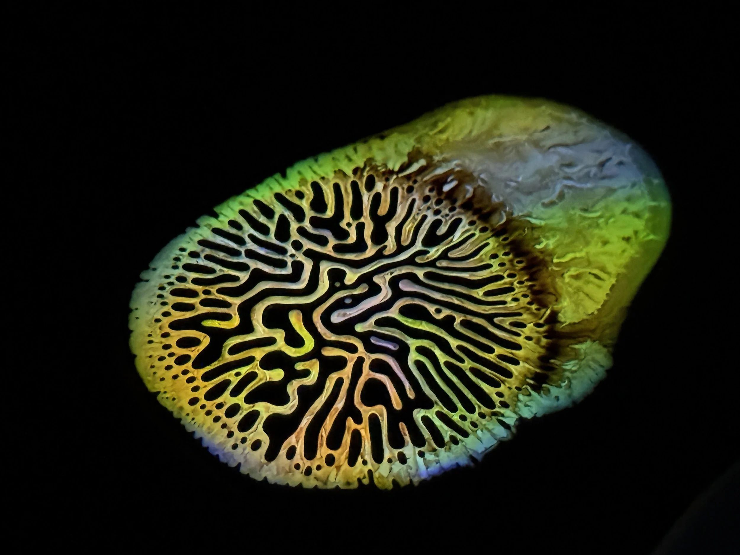 ferrofluid painting: glow stick fluid