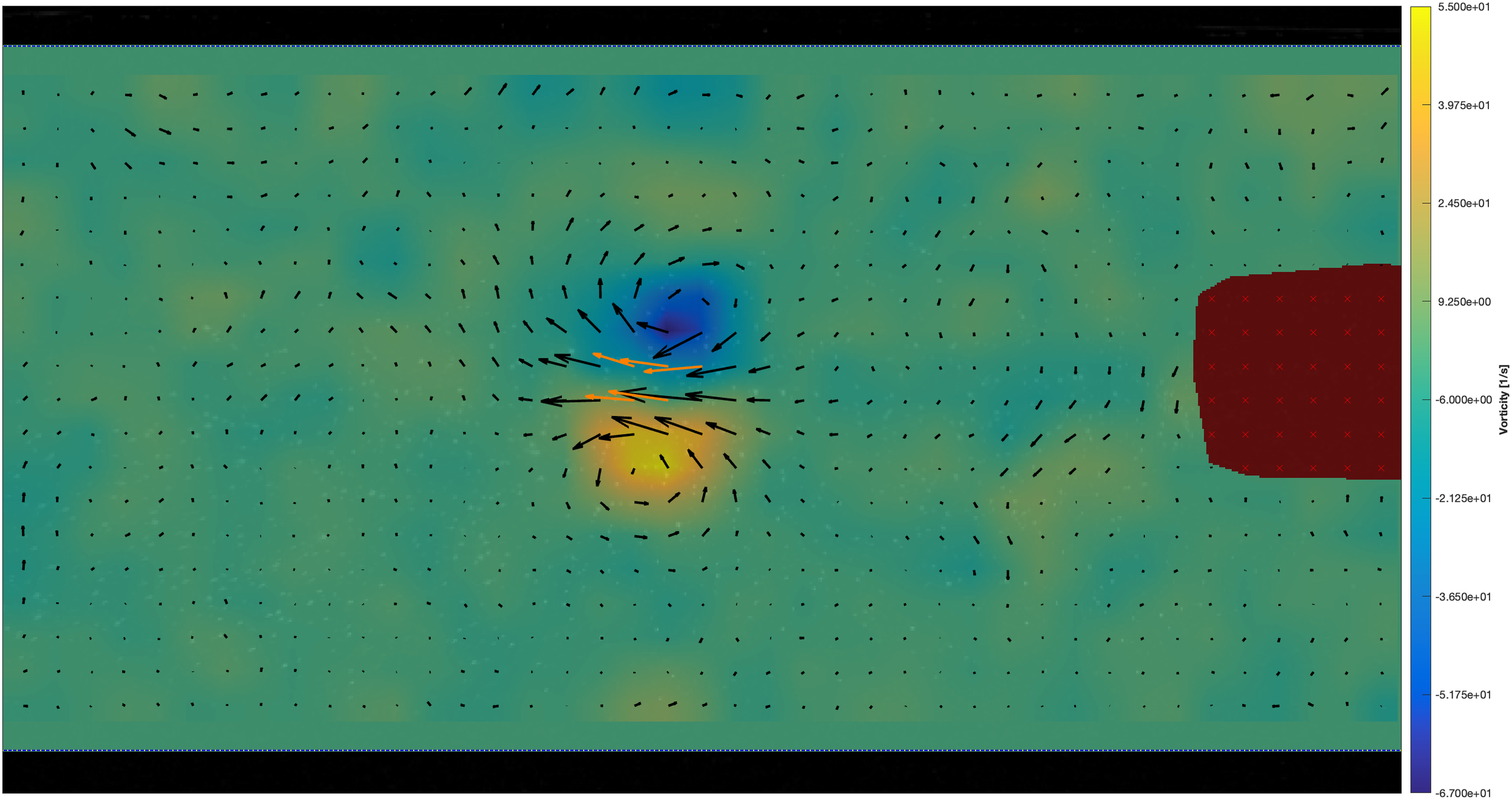 particle image velocimetry: vorticity map
