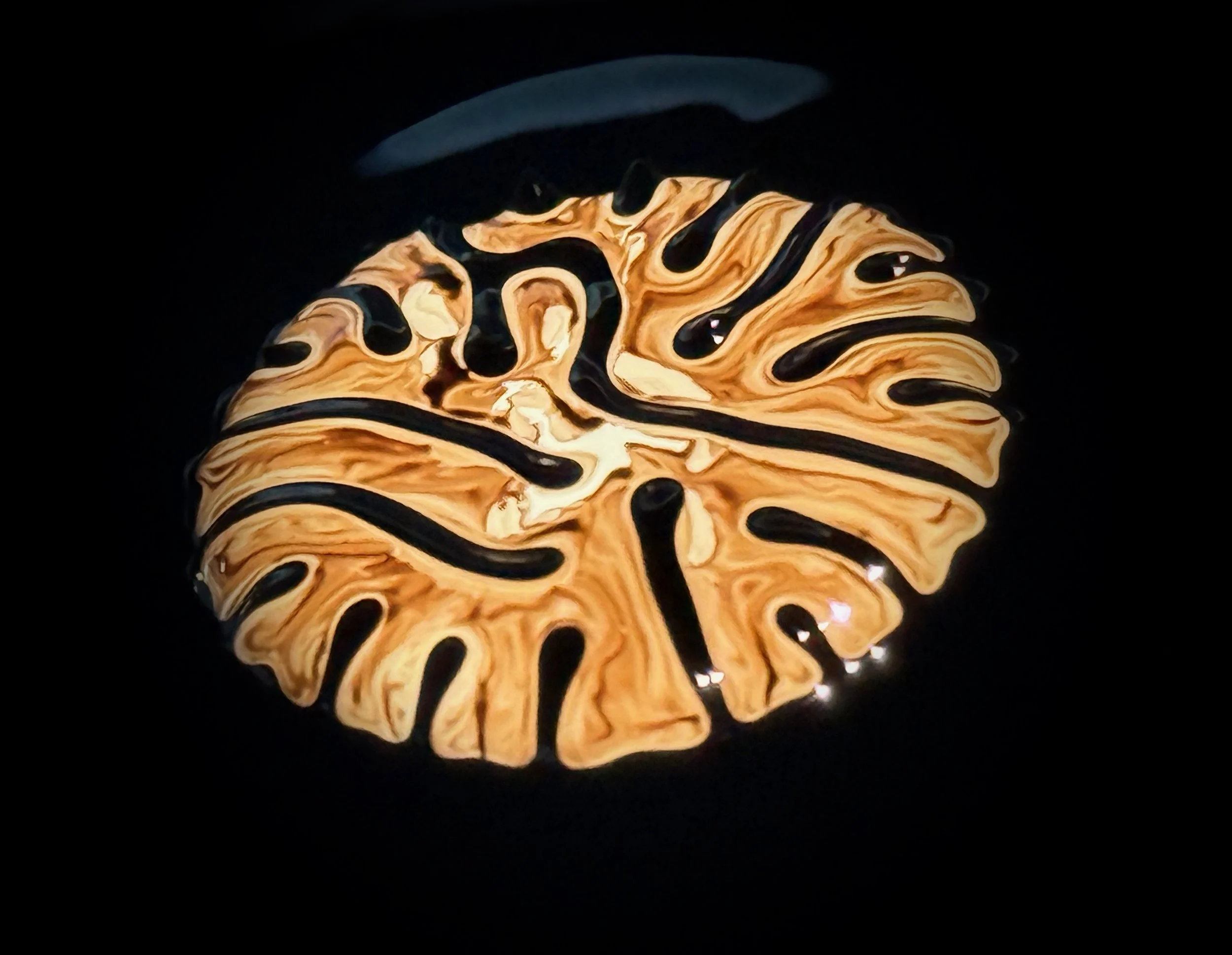ferrofluid painting: white paint