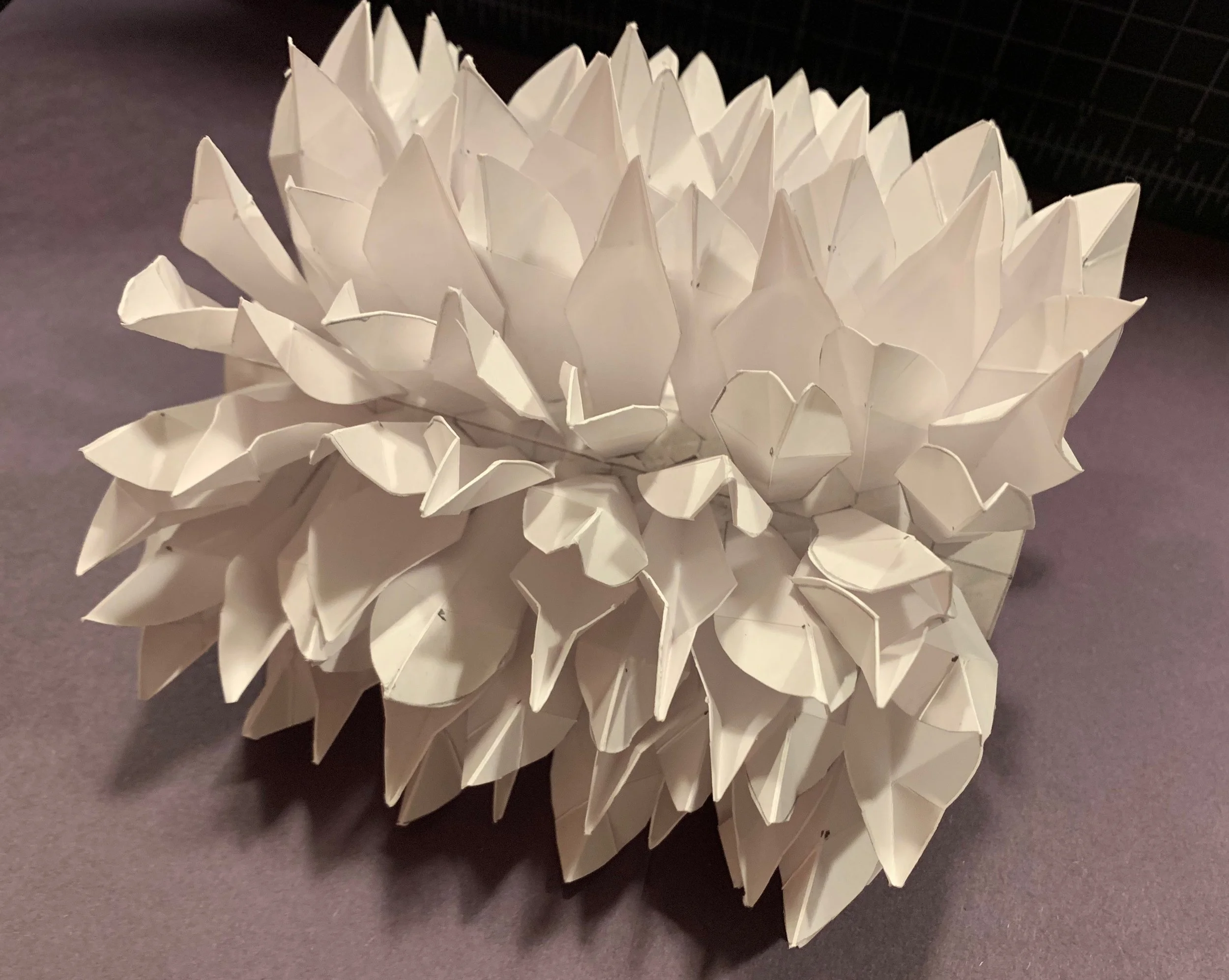 Pinecone.jpg