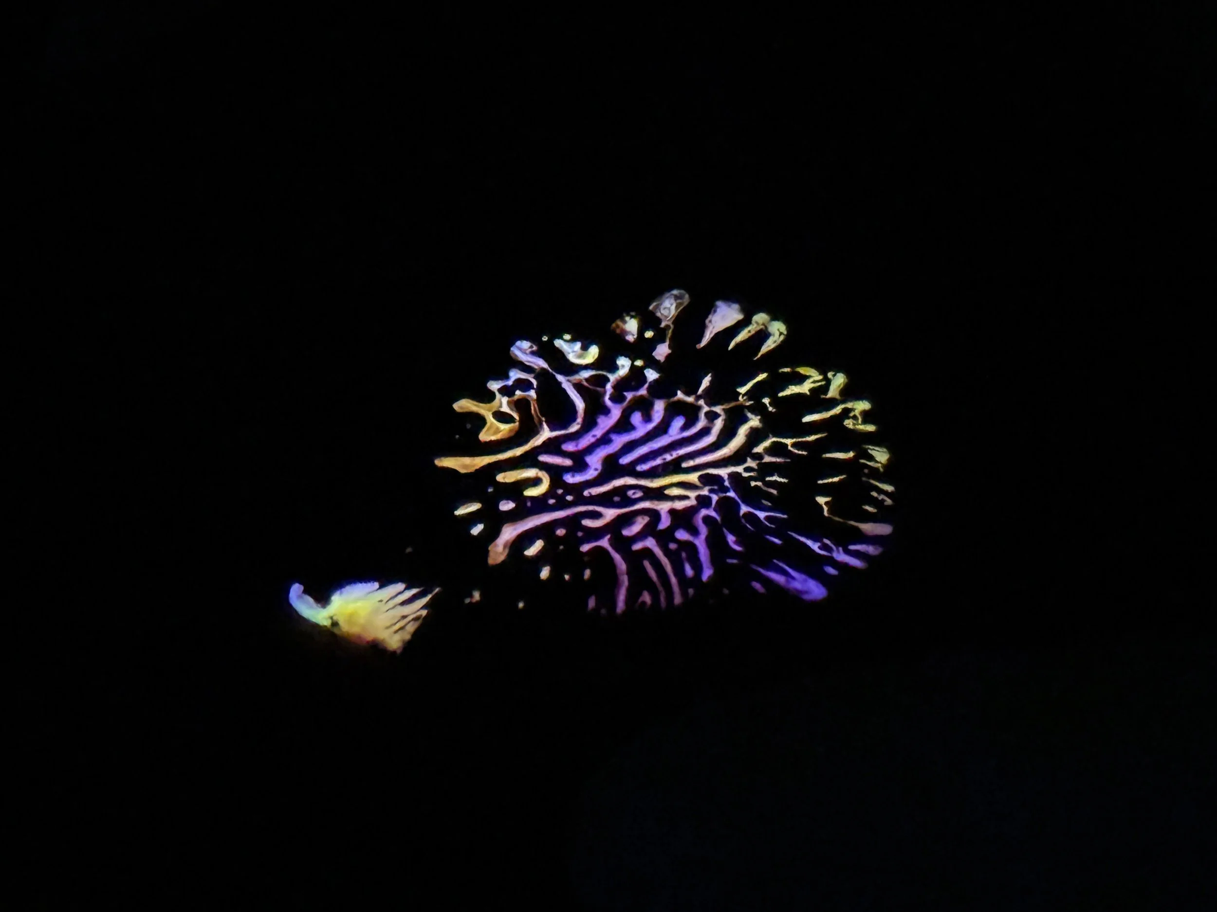 ferrofluid painting: glow stick fluid