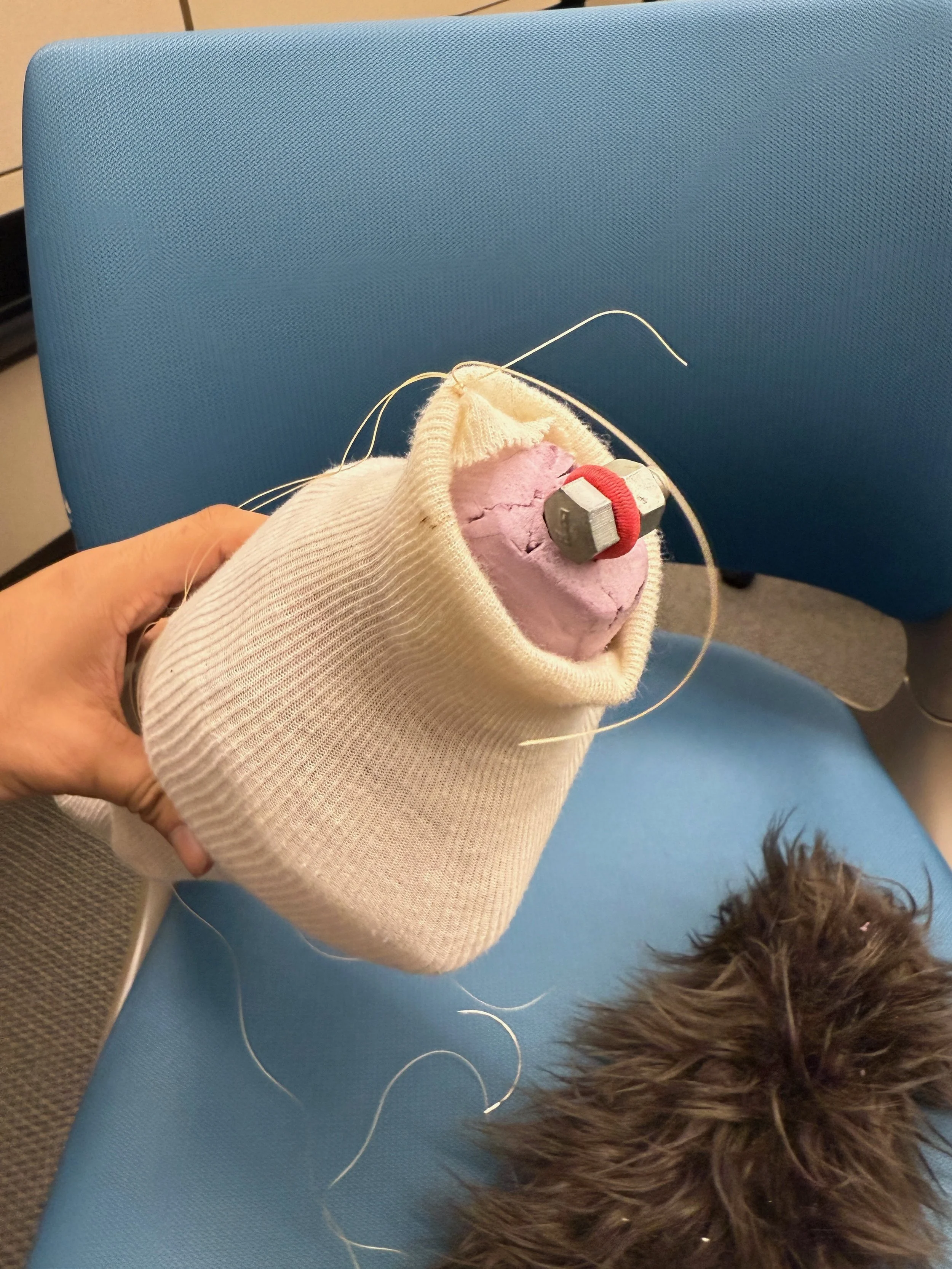 squish: abdomen joint (tail view)