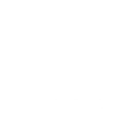 Odd Bird Collective