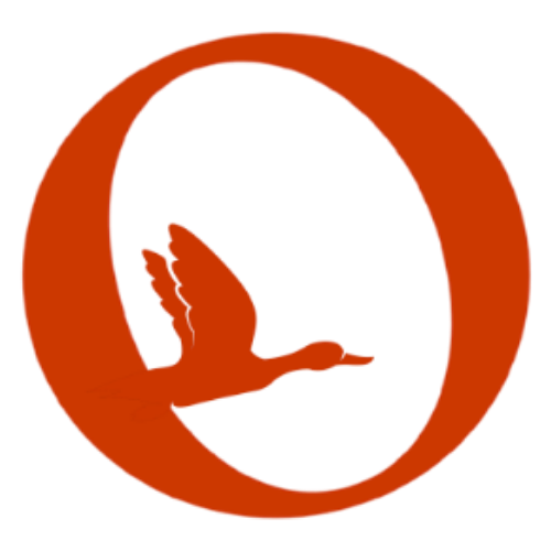 Odd Bird Collective