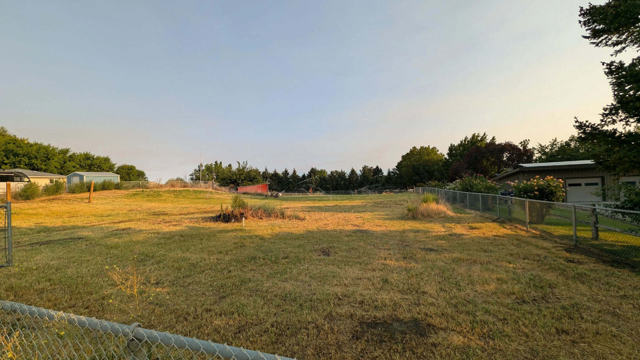 Bee yard is coming along