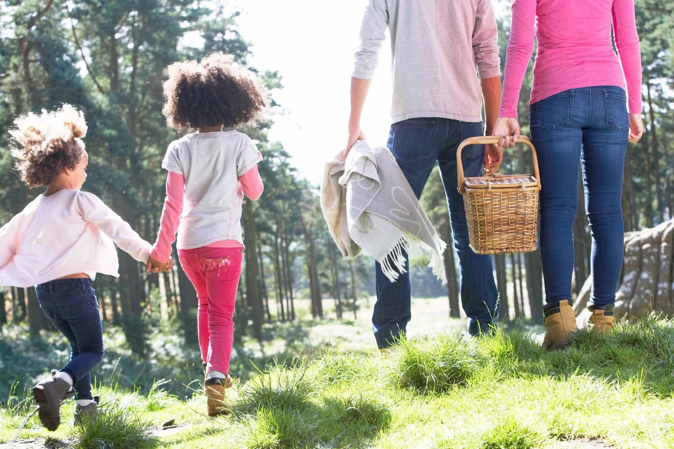Understanding the Family Nervous System