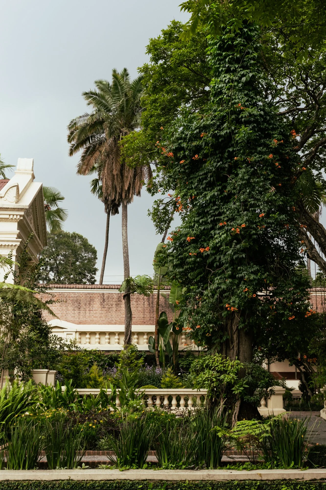 Kathmandutuin28.jpg