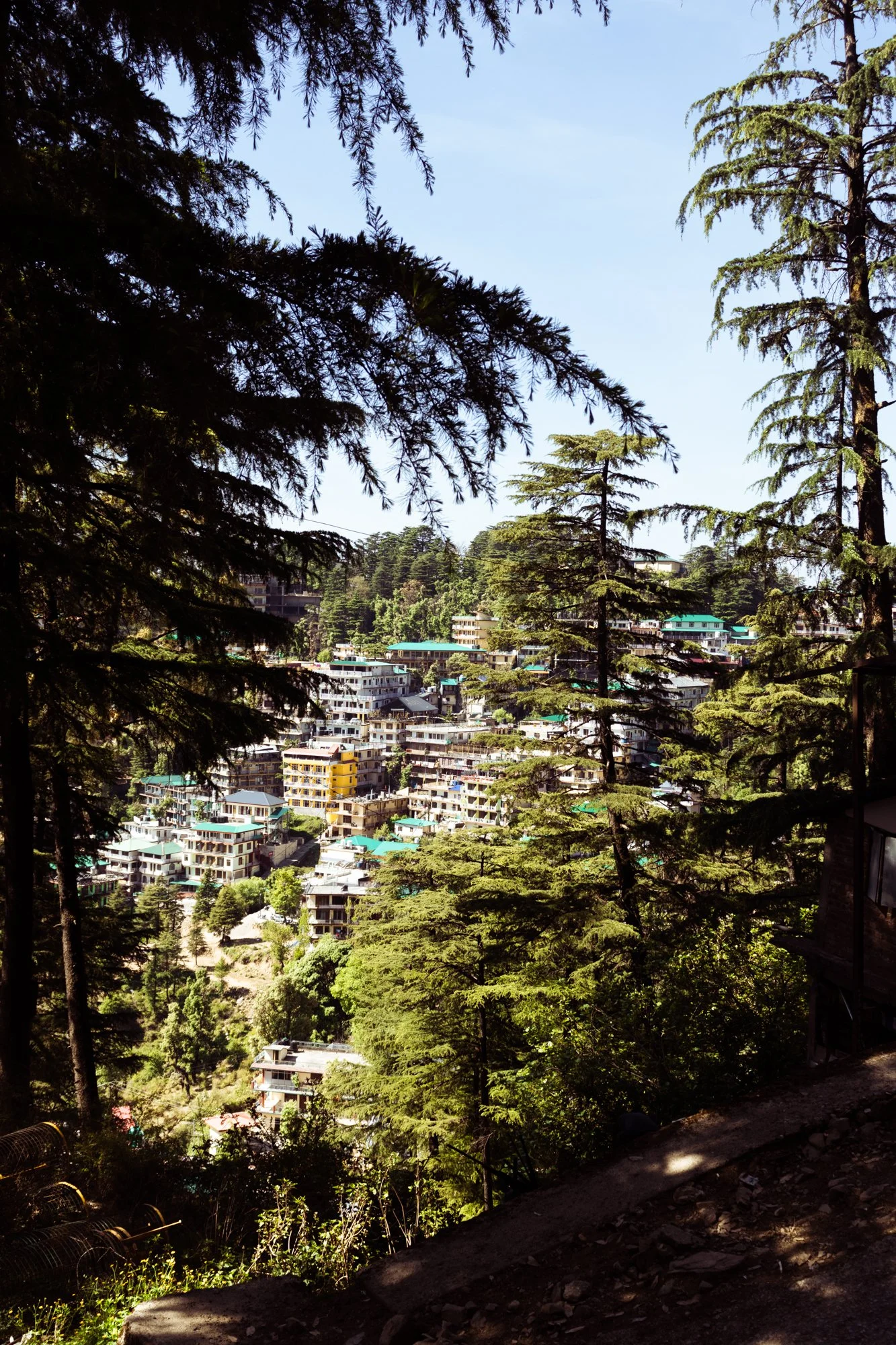 streetphotographyDharamsala8.jpg