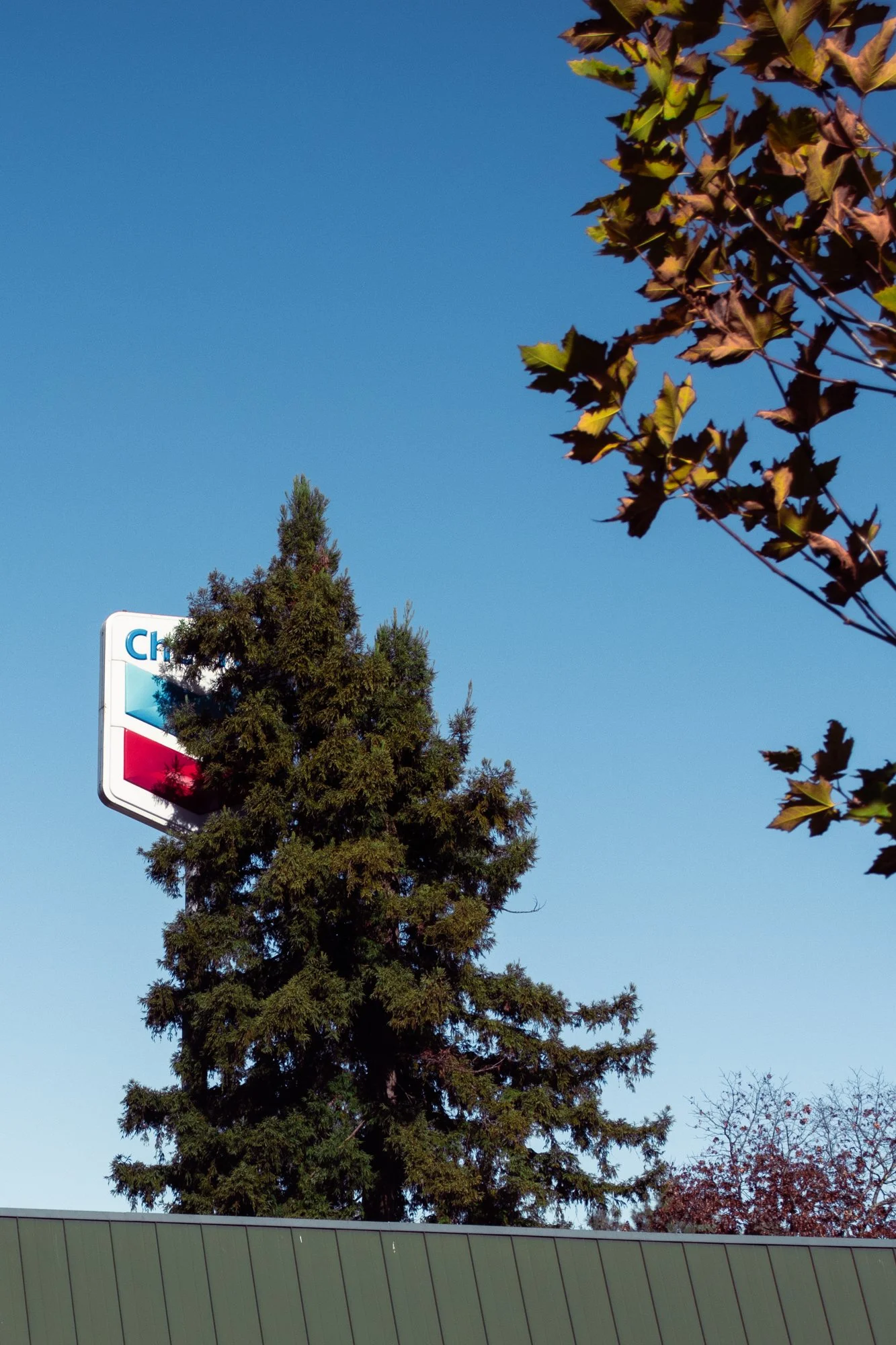 ukiah14.jpg