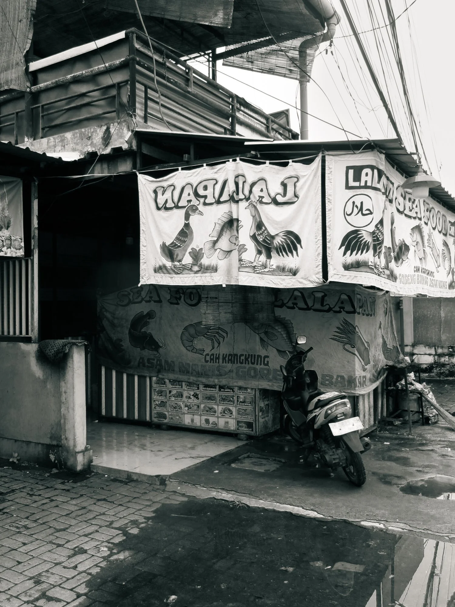 Bali2025.11.jpg