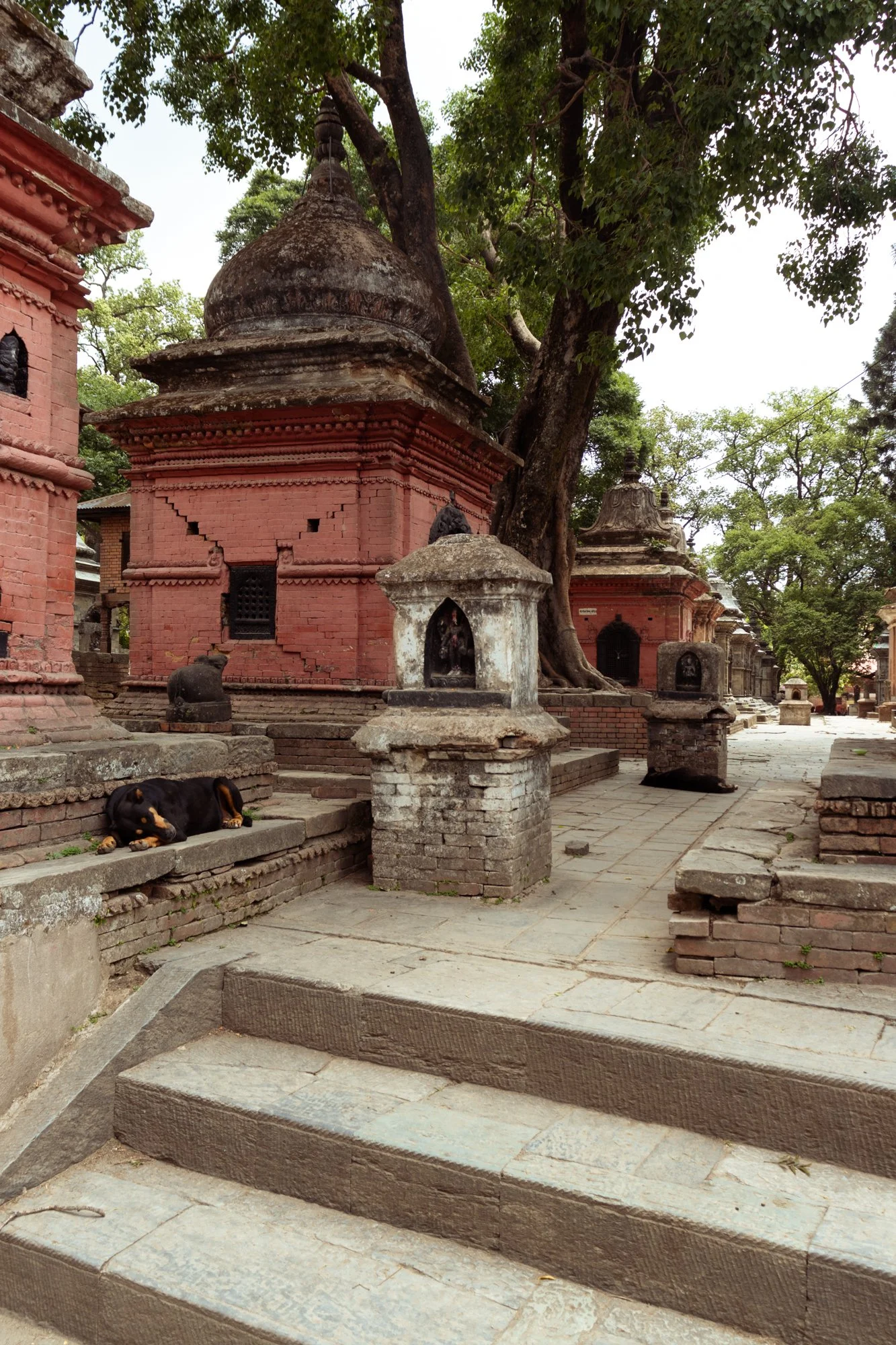 Kathmanducrematieplek14.jpg