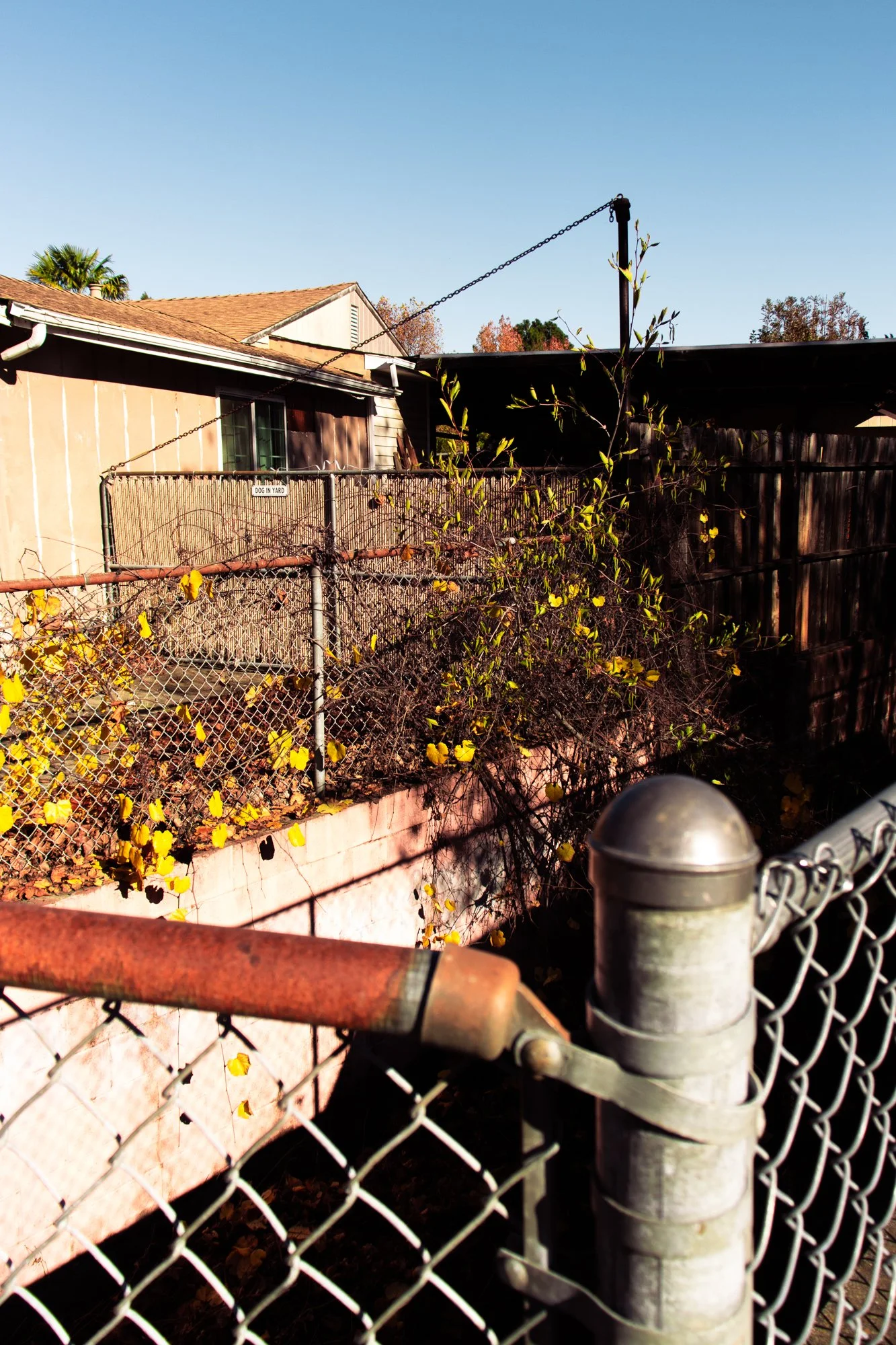 ukiah17.jpg