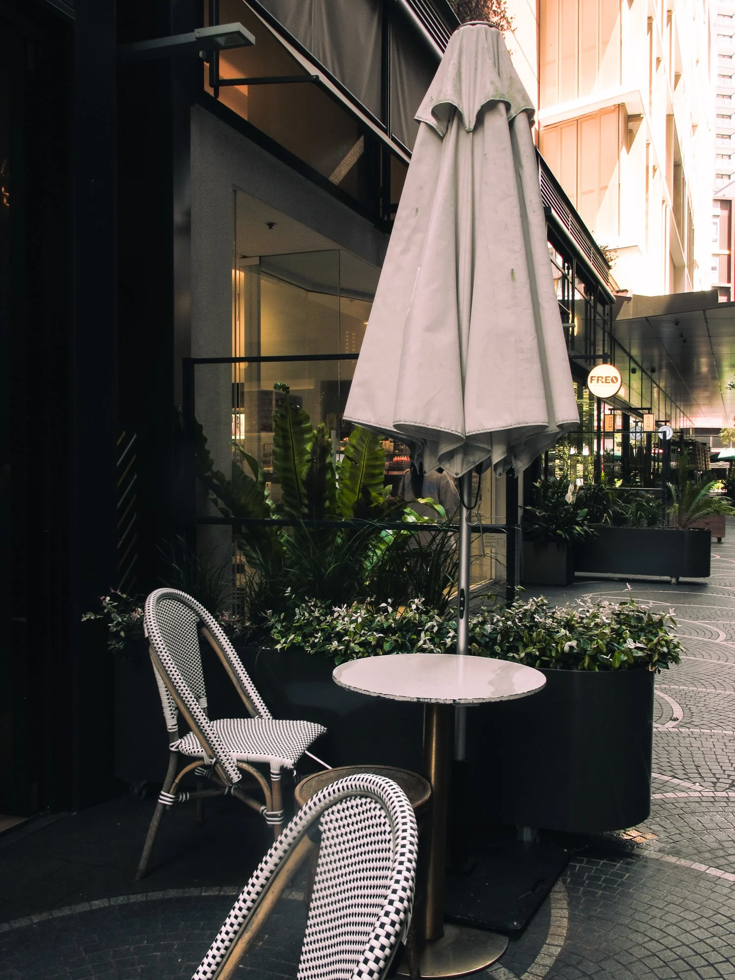 sydney28.jpg