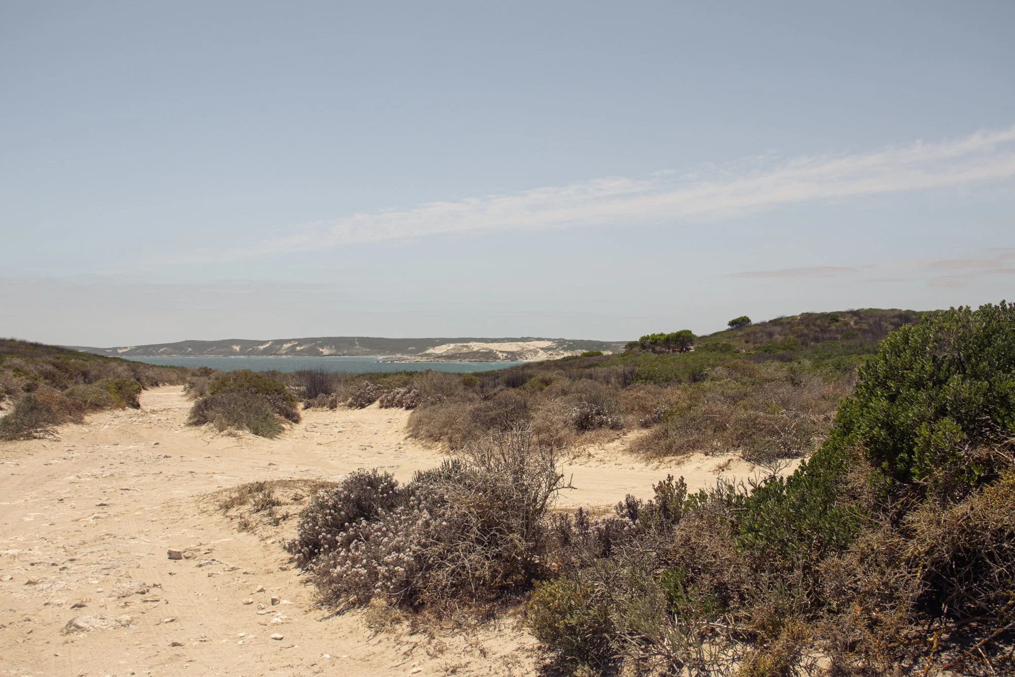 StrandVredenburg8.jpg