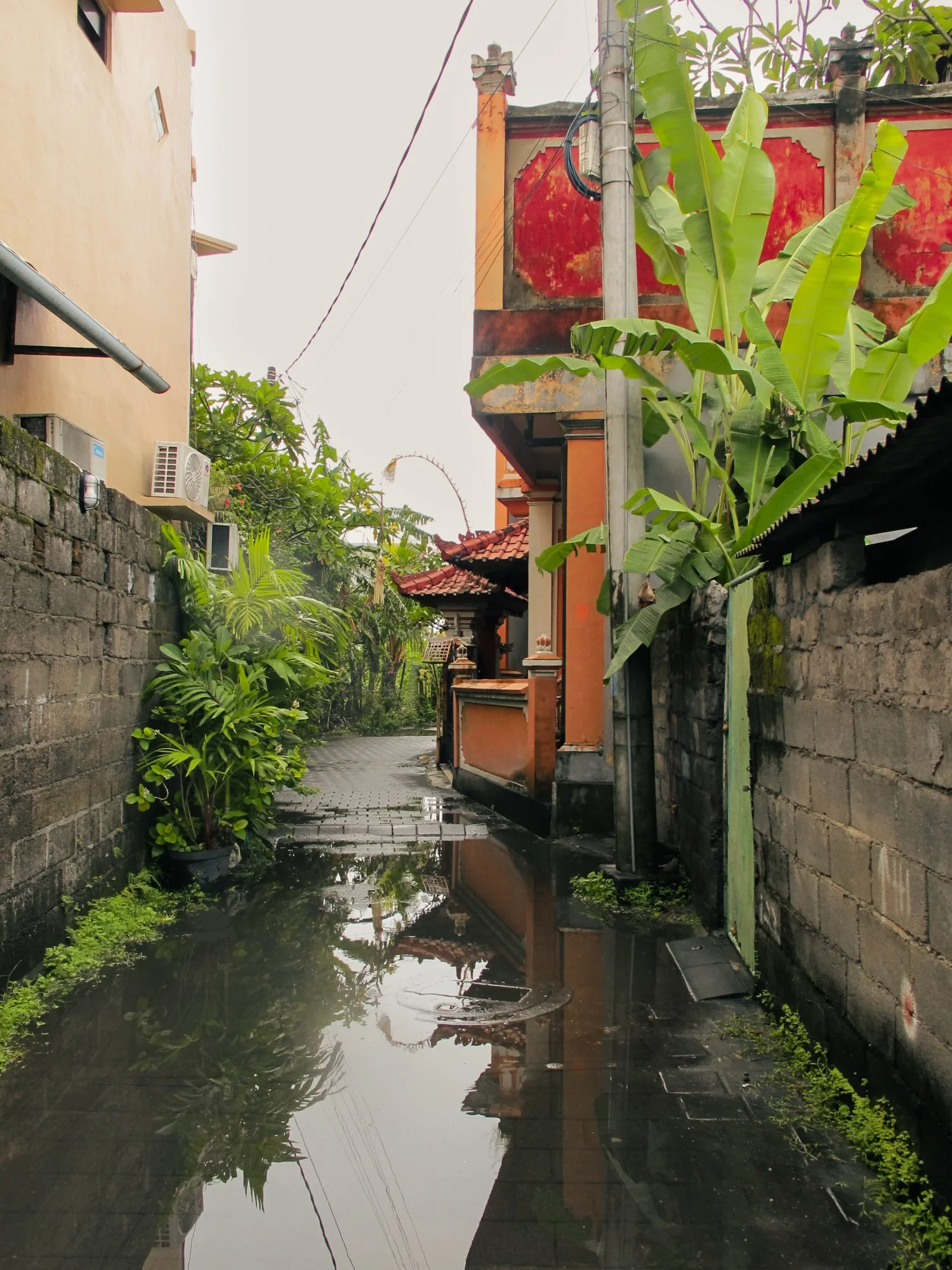 Bali2025.2.jpg