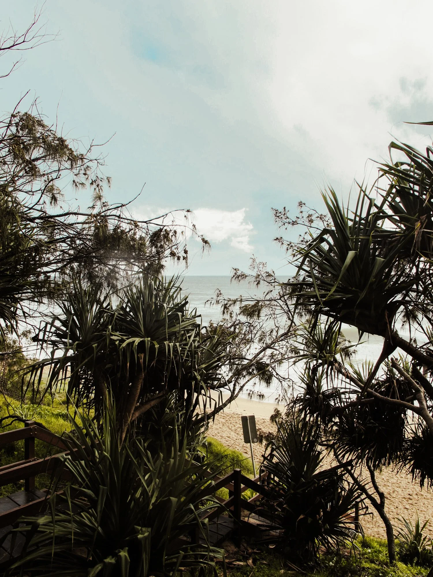Sunshinecoast1.jpg