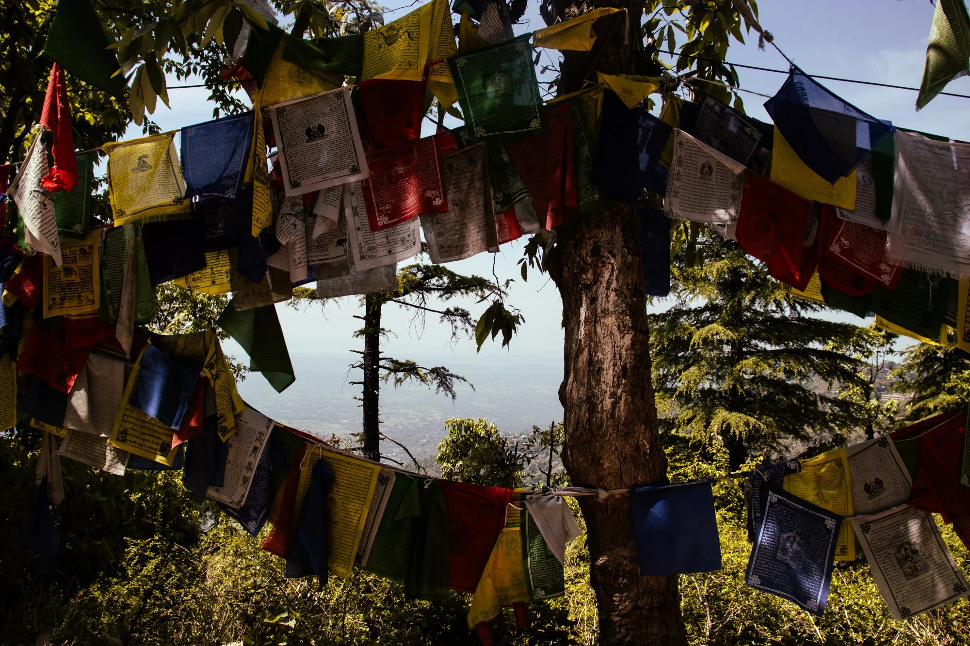 streetphotographyDharamsala23.jpg