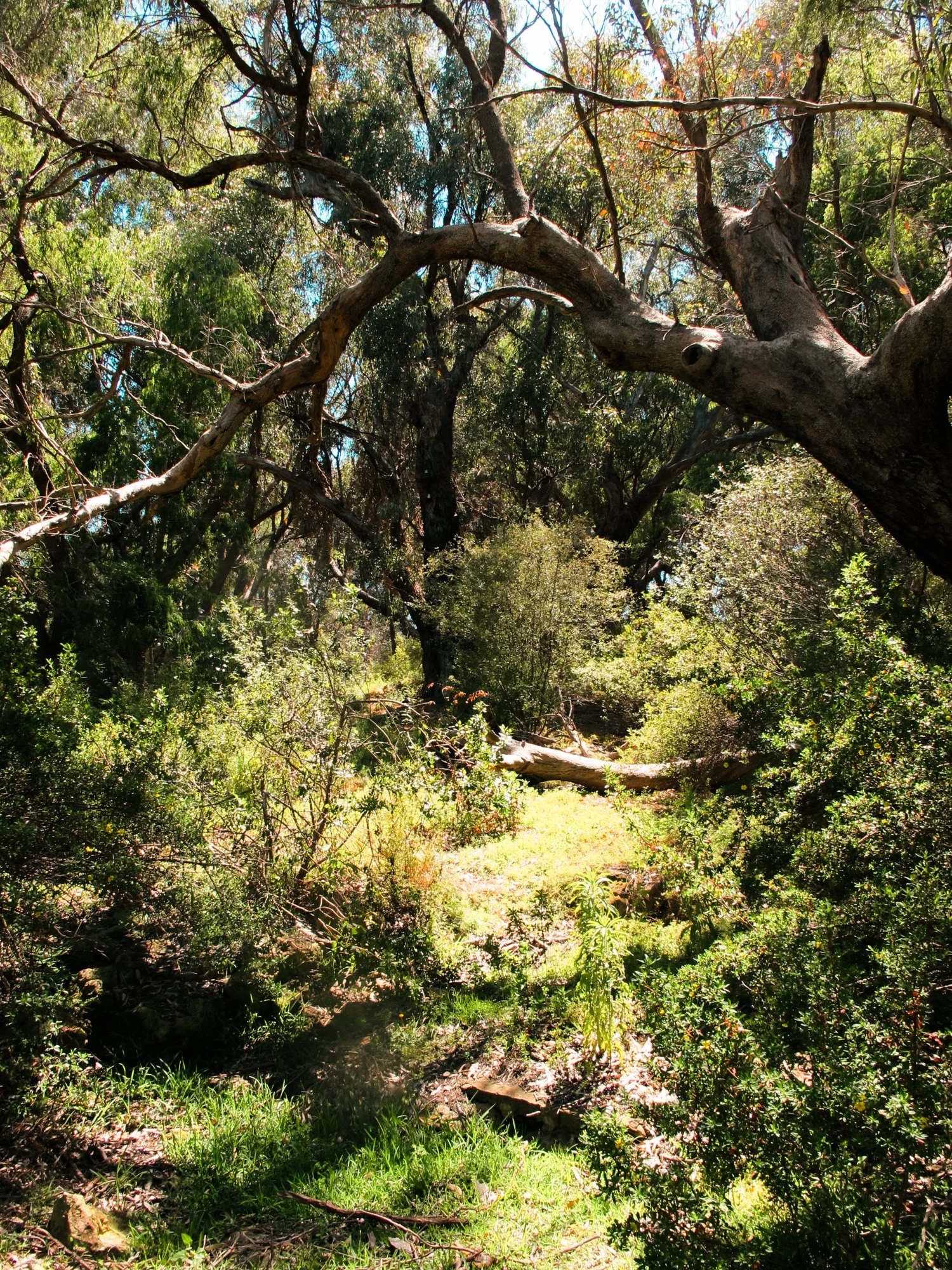 roadtripWA25.jpg