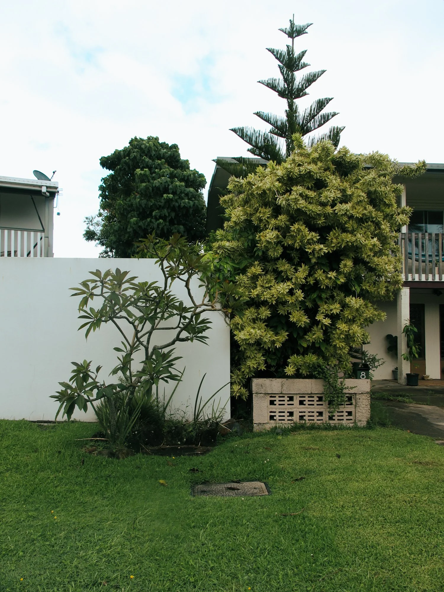 Sunshinecoast17.jpg