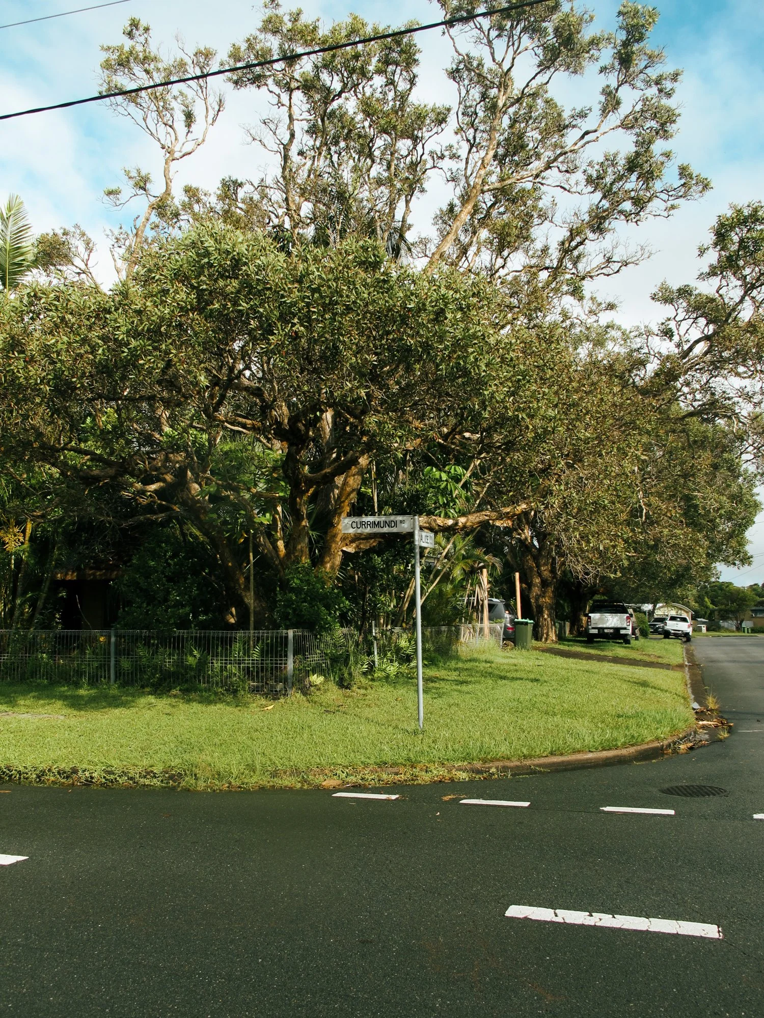 Sunshinecoast8.jpg