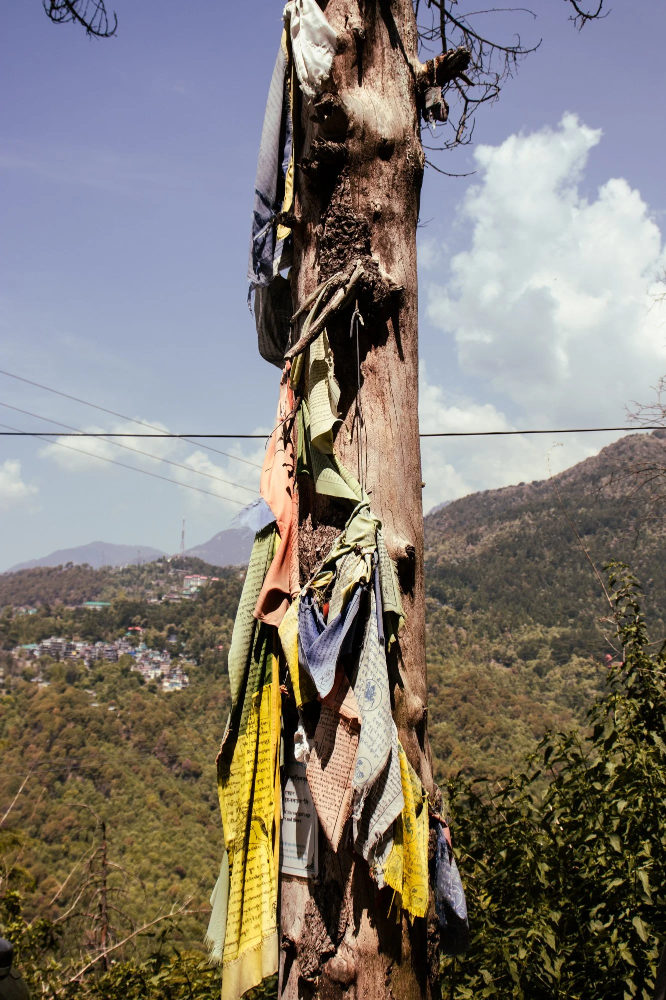streetphotographyDharamsala16.jpg