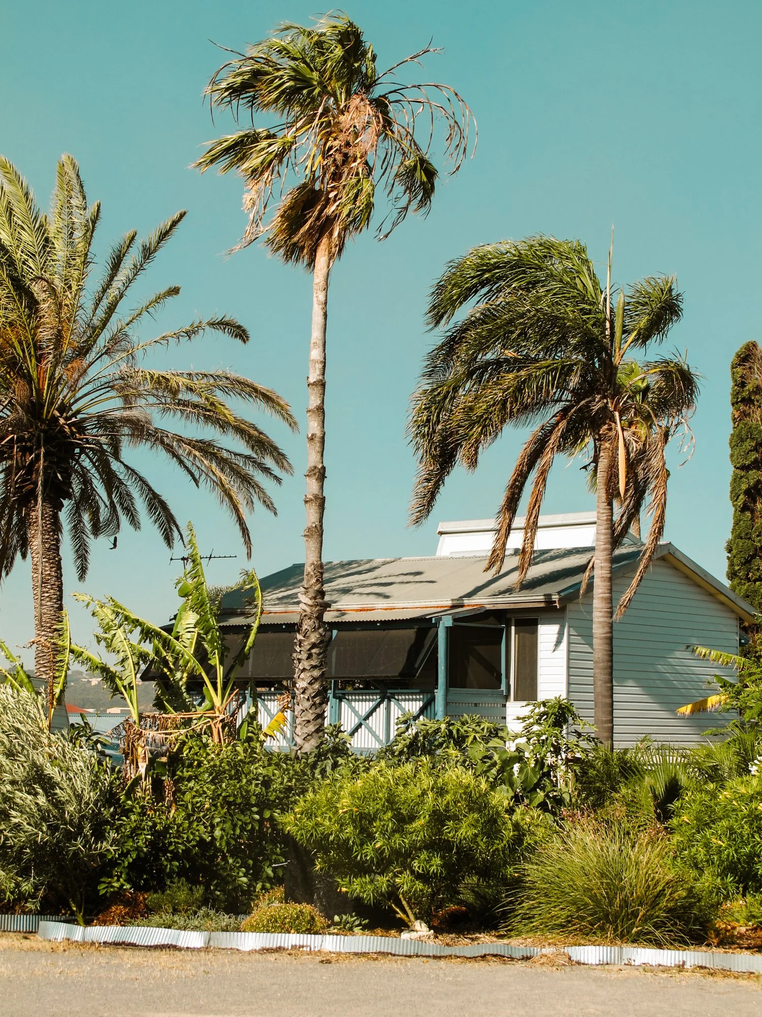 roadtripWA19.jpg