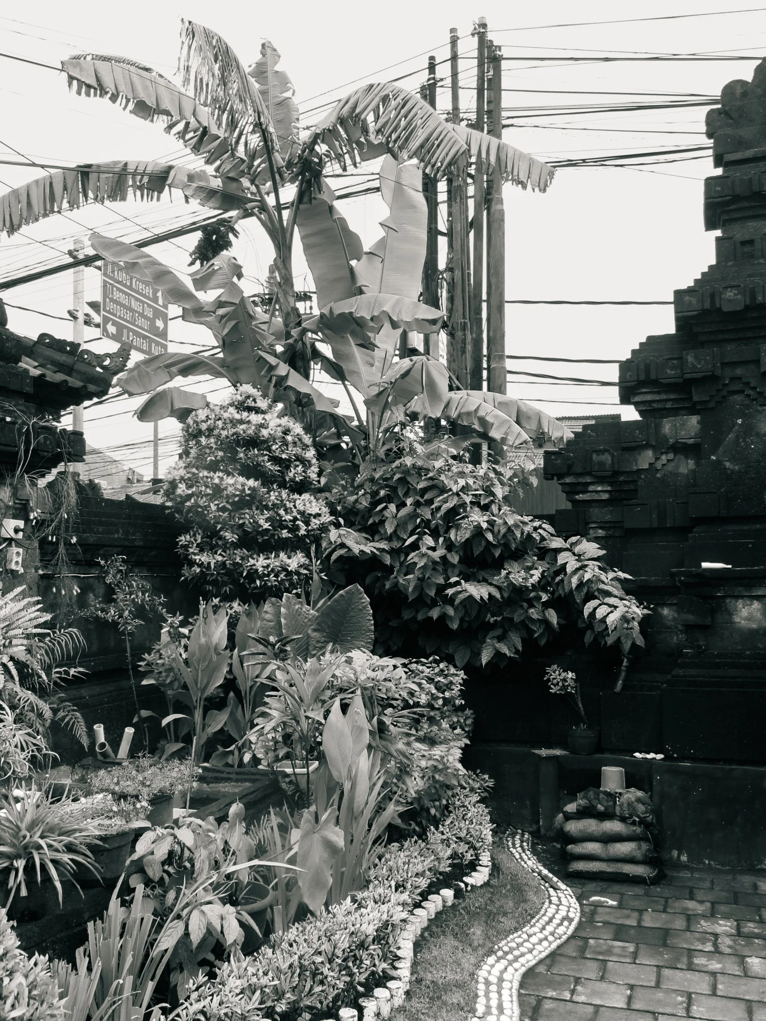 Bali2025.10.jpg