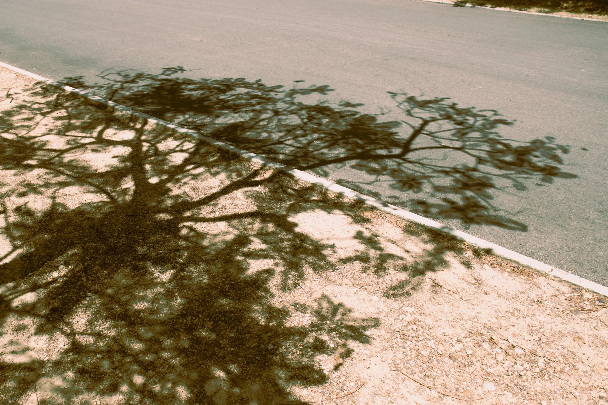 porterville2.9.jpg