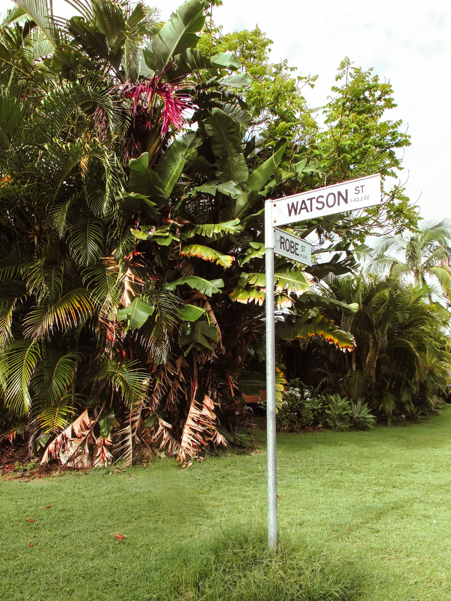 Sunshinecoast3.jpg