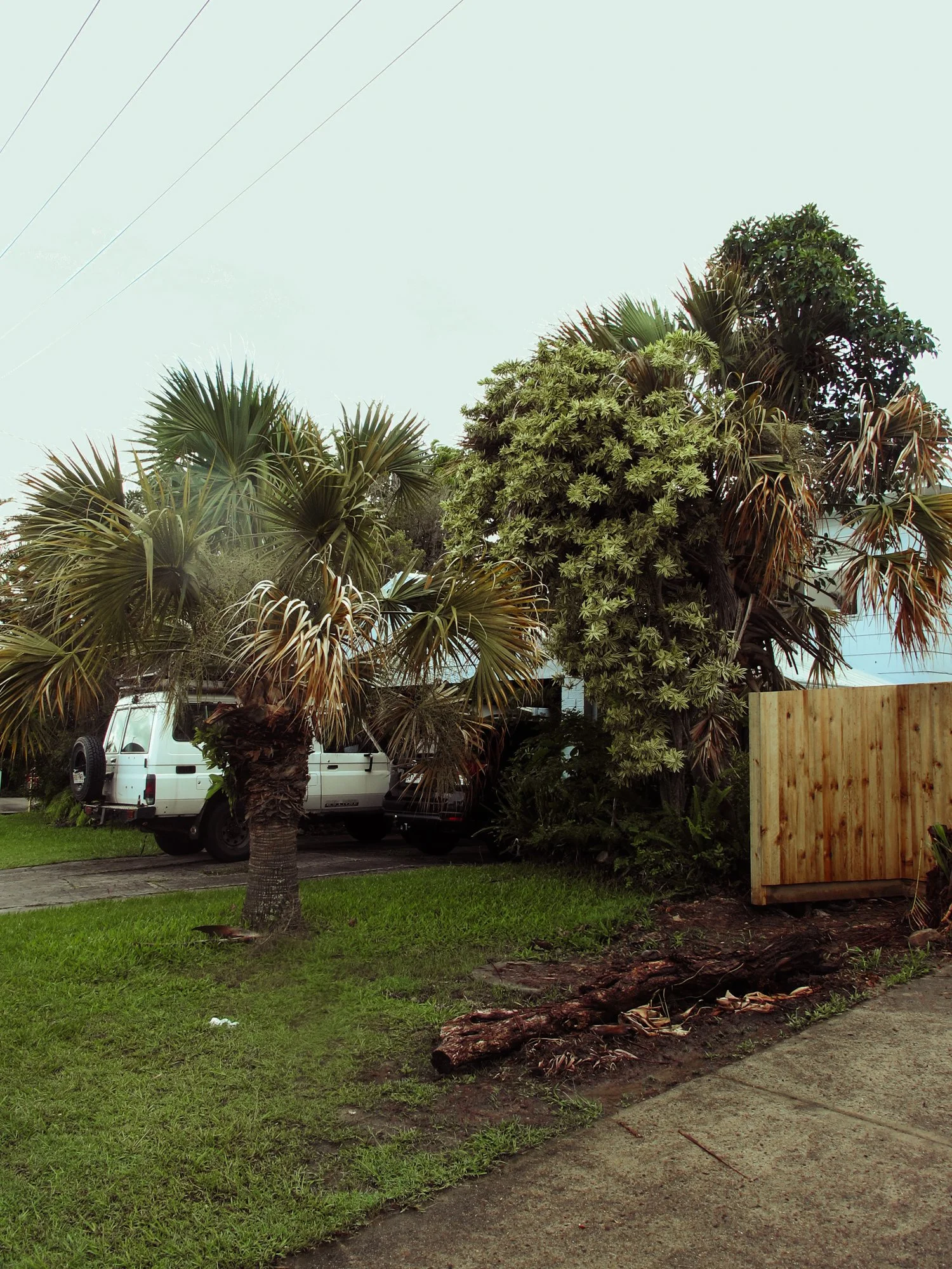Sunshinecoast16.jpg