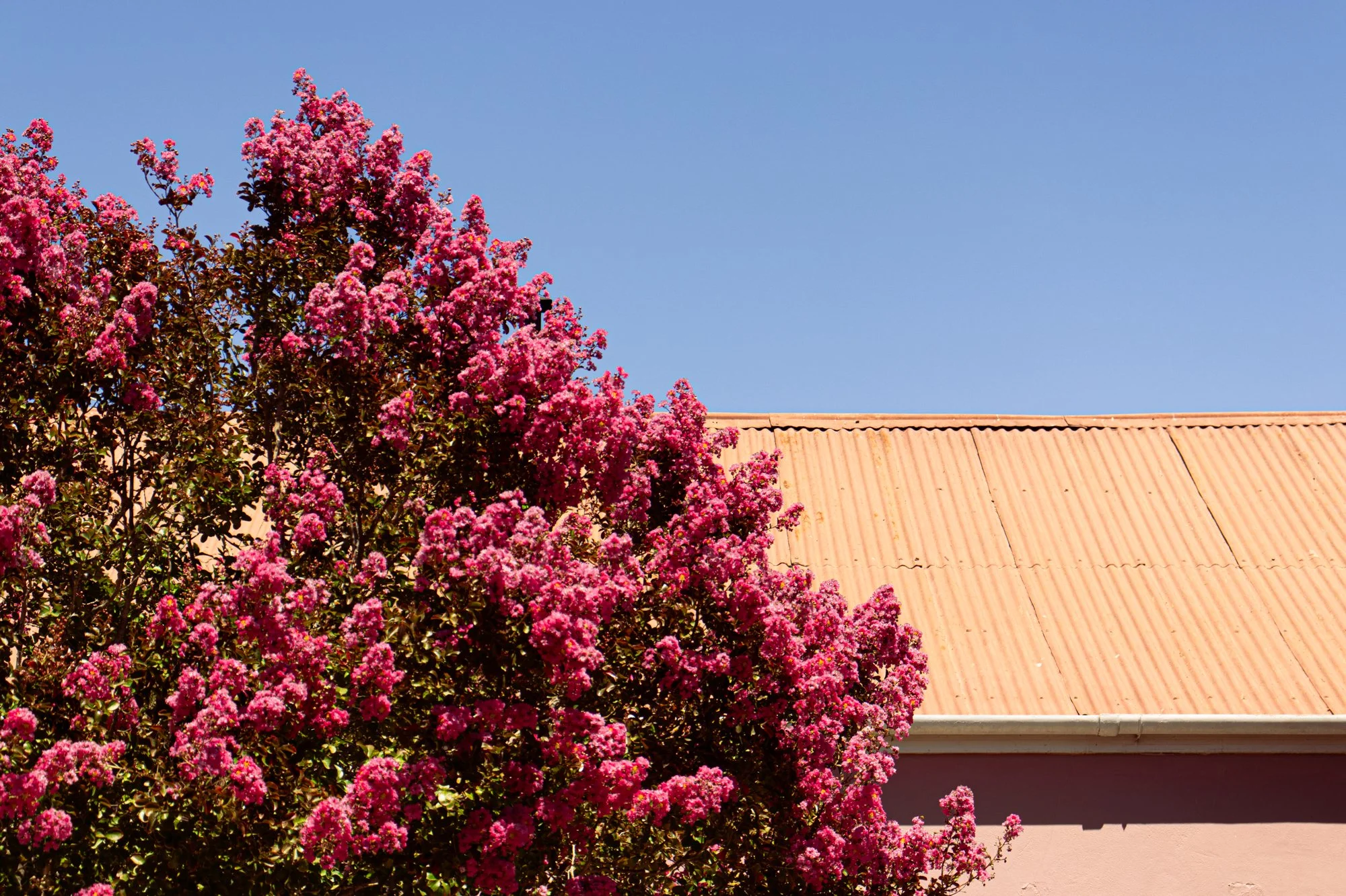 porterville2.5.jpg