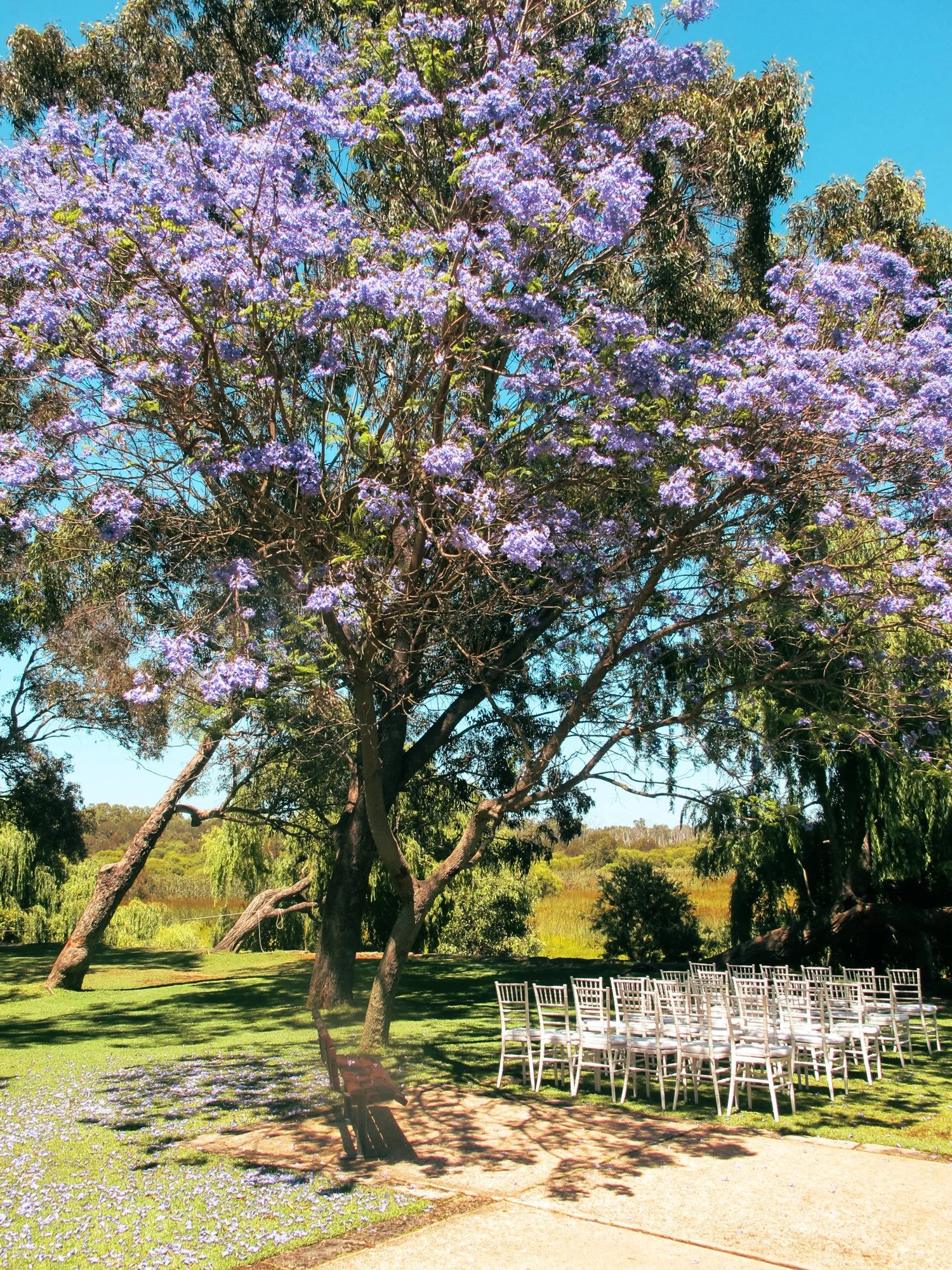 roadtripWA26.jpg