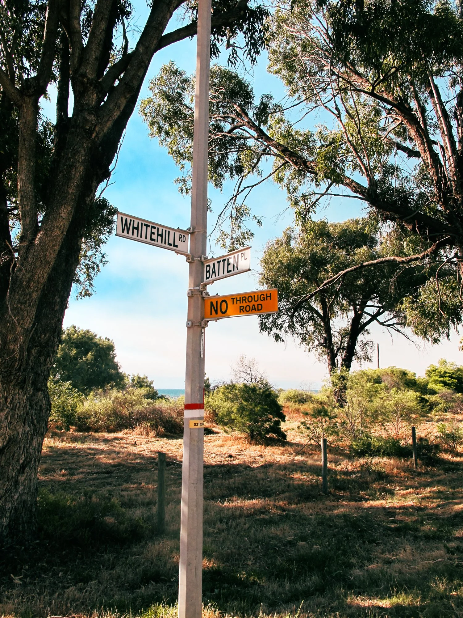 roadtripWA3.jpg