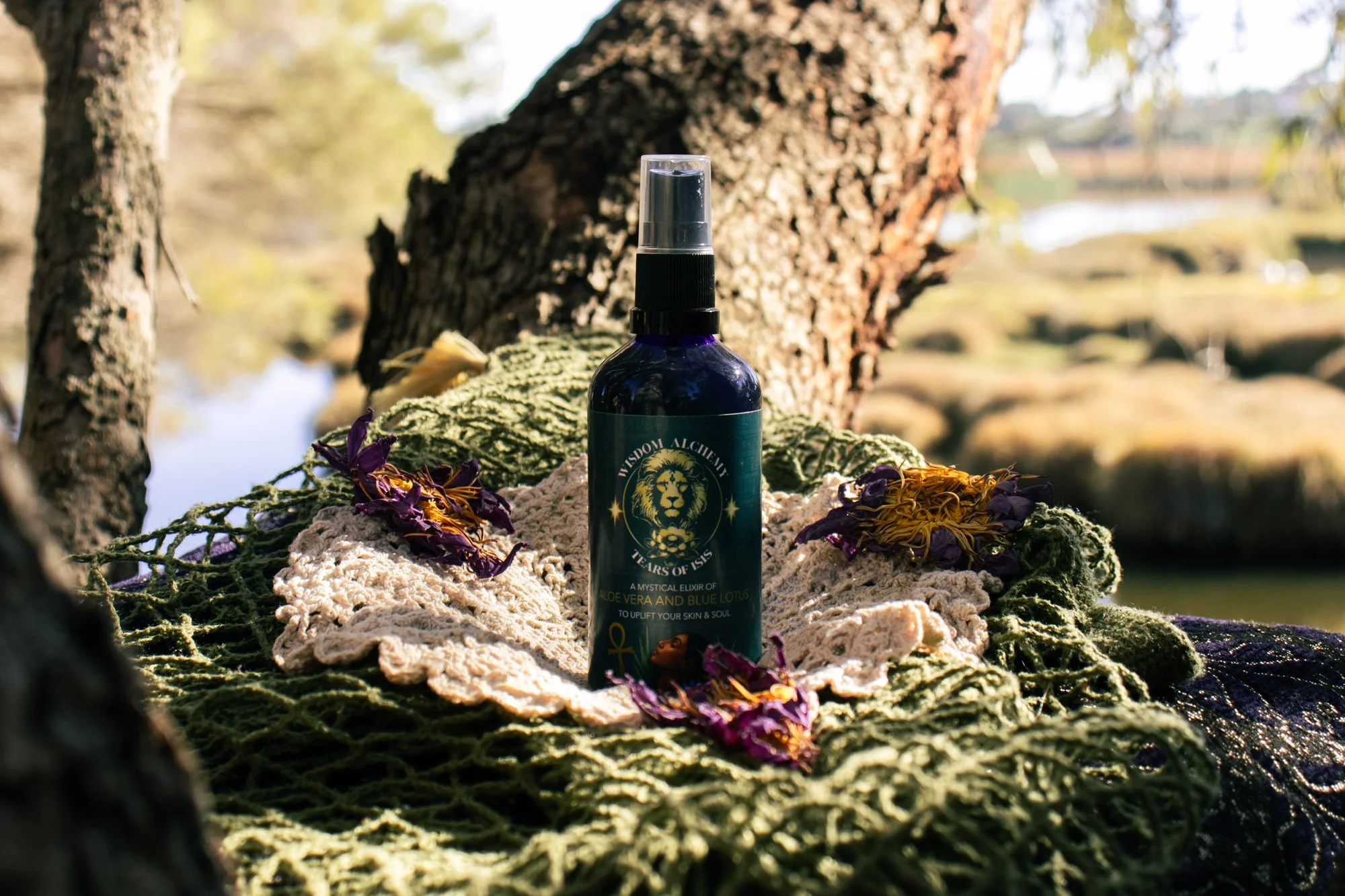Wisdom Alchemy