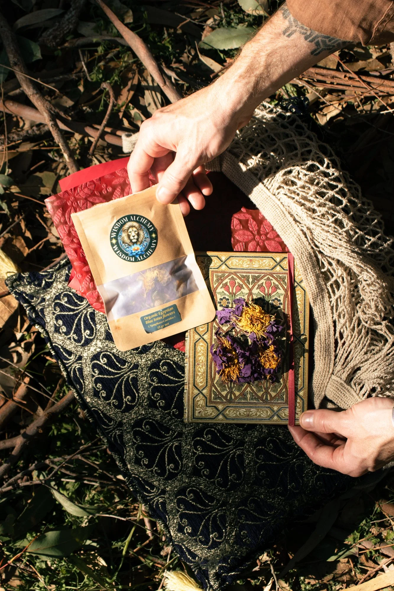 WisdomAlchemy13.jpg