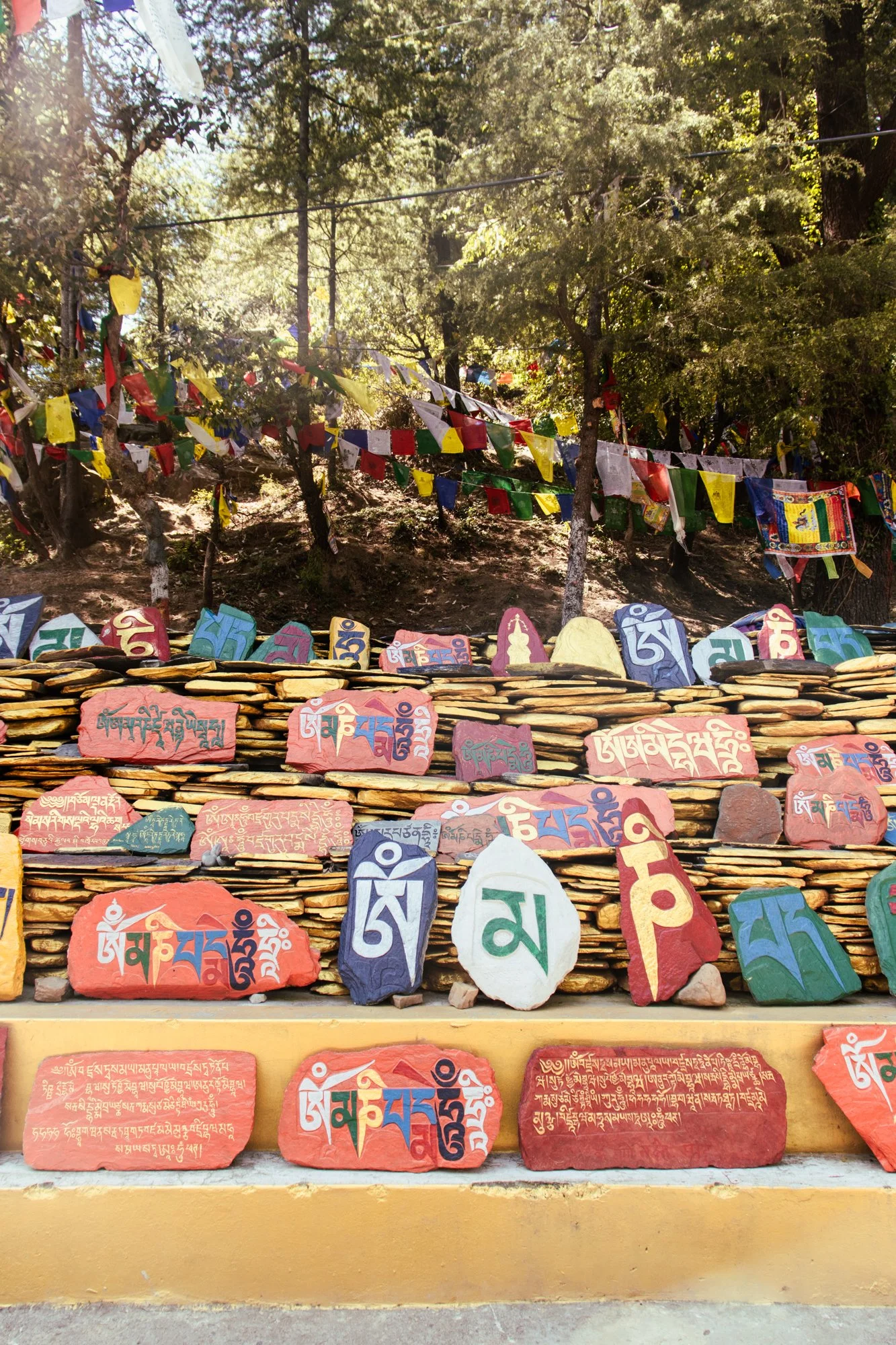 streetphotographyDharamsala28.jpg