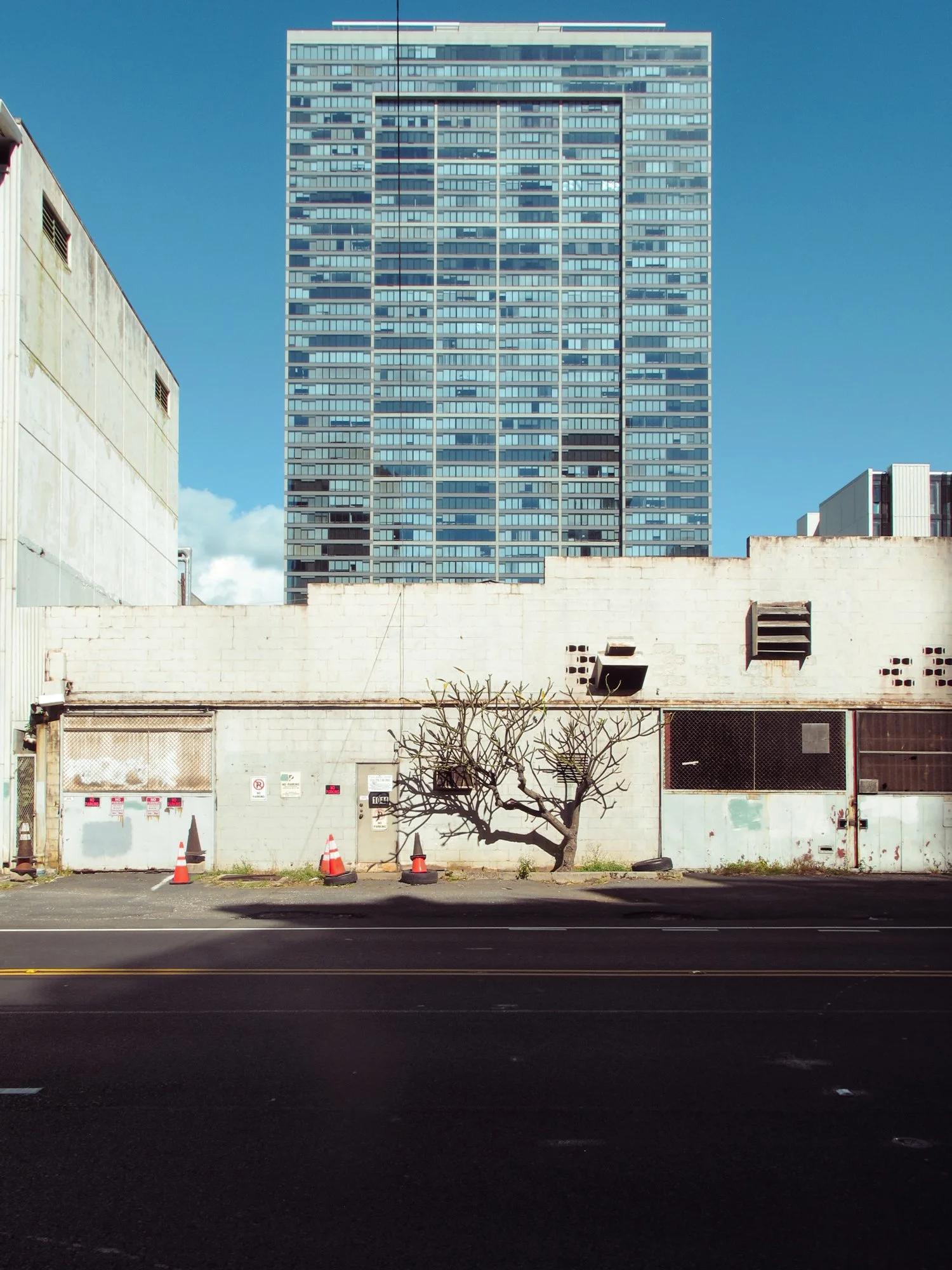 honolulu6.jpg
