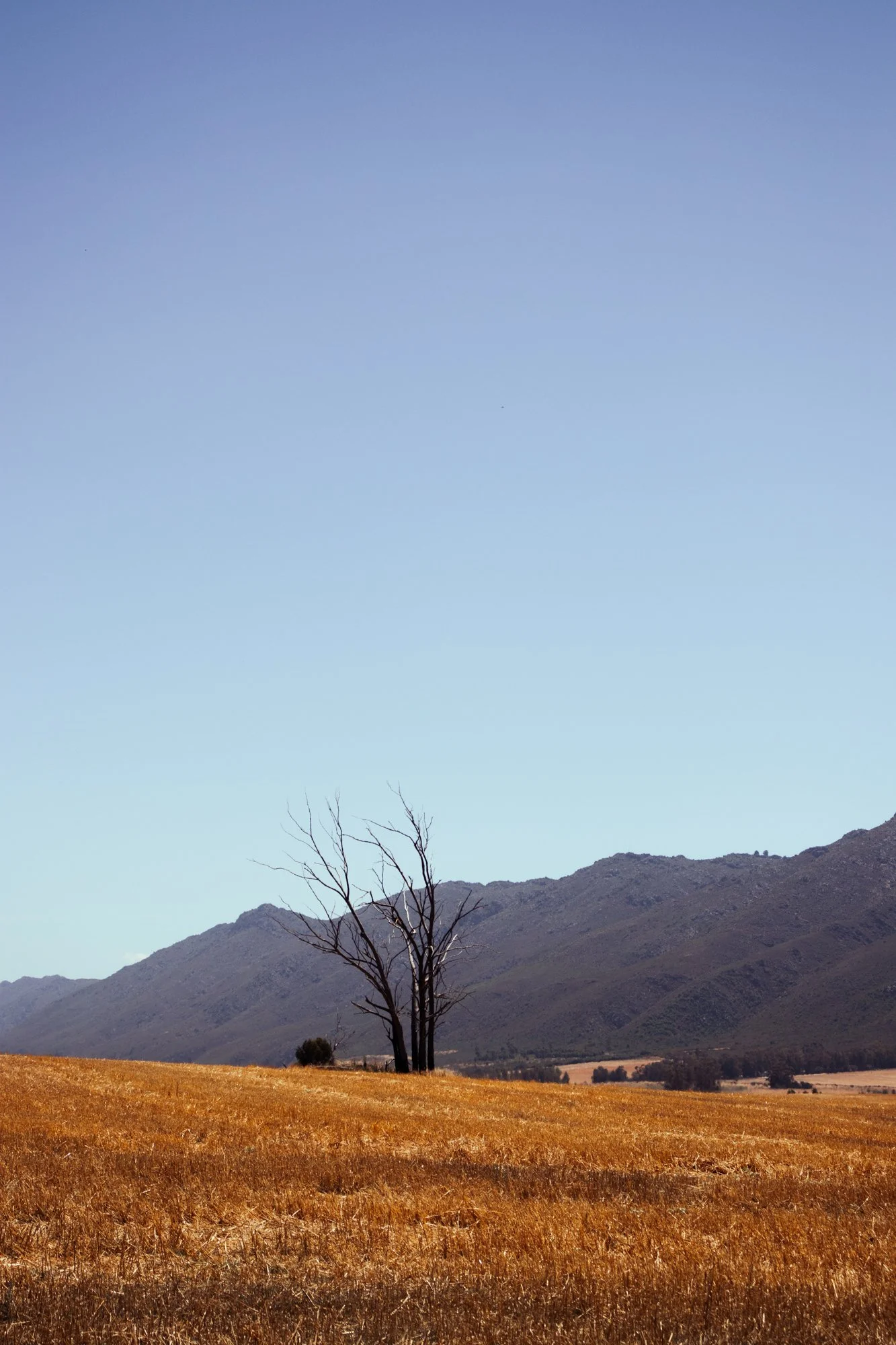 porterville2.11.jpg