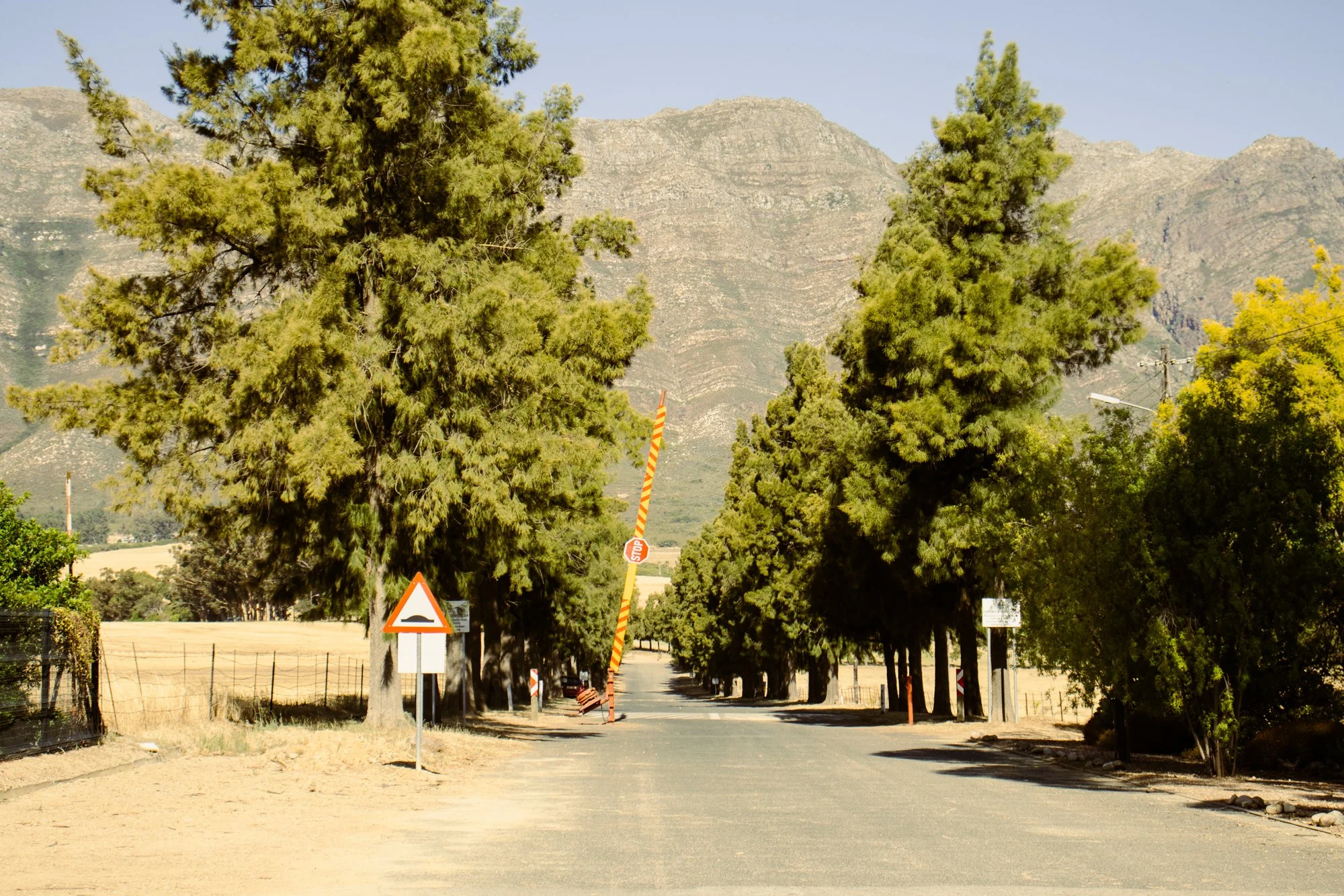 porterville6.jpg
