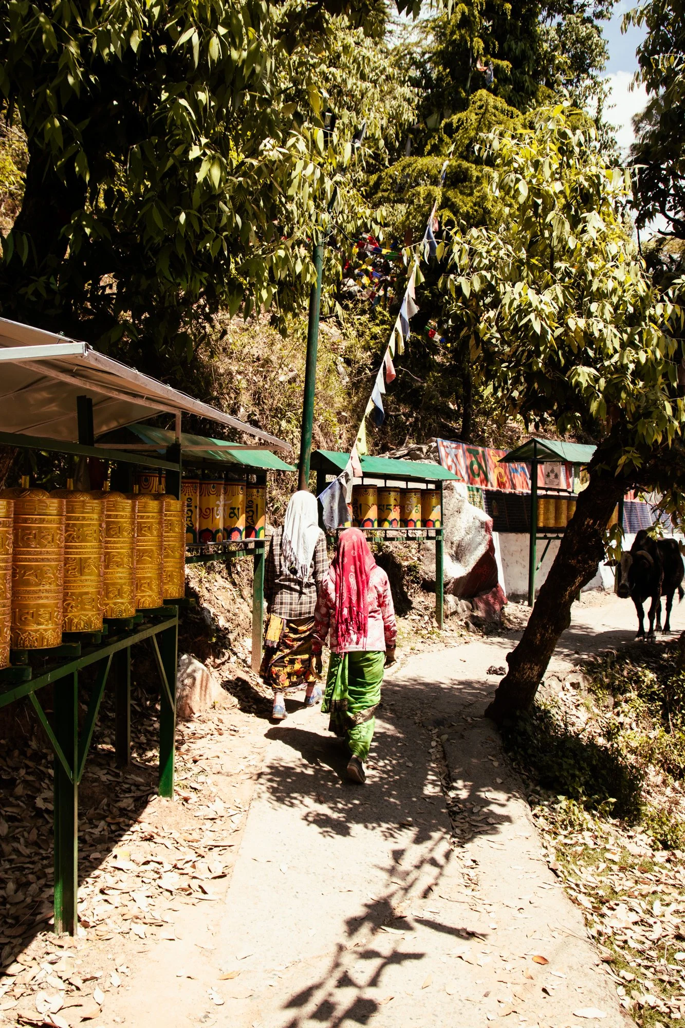 streetphotographyDharamsala26.jpg
