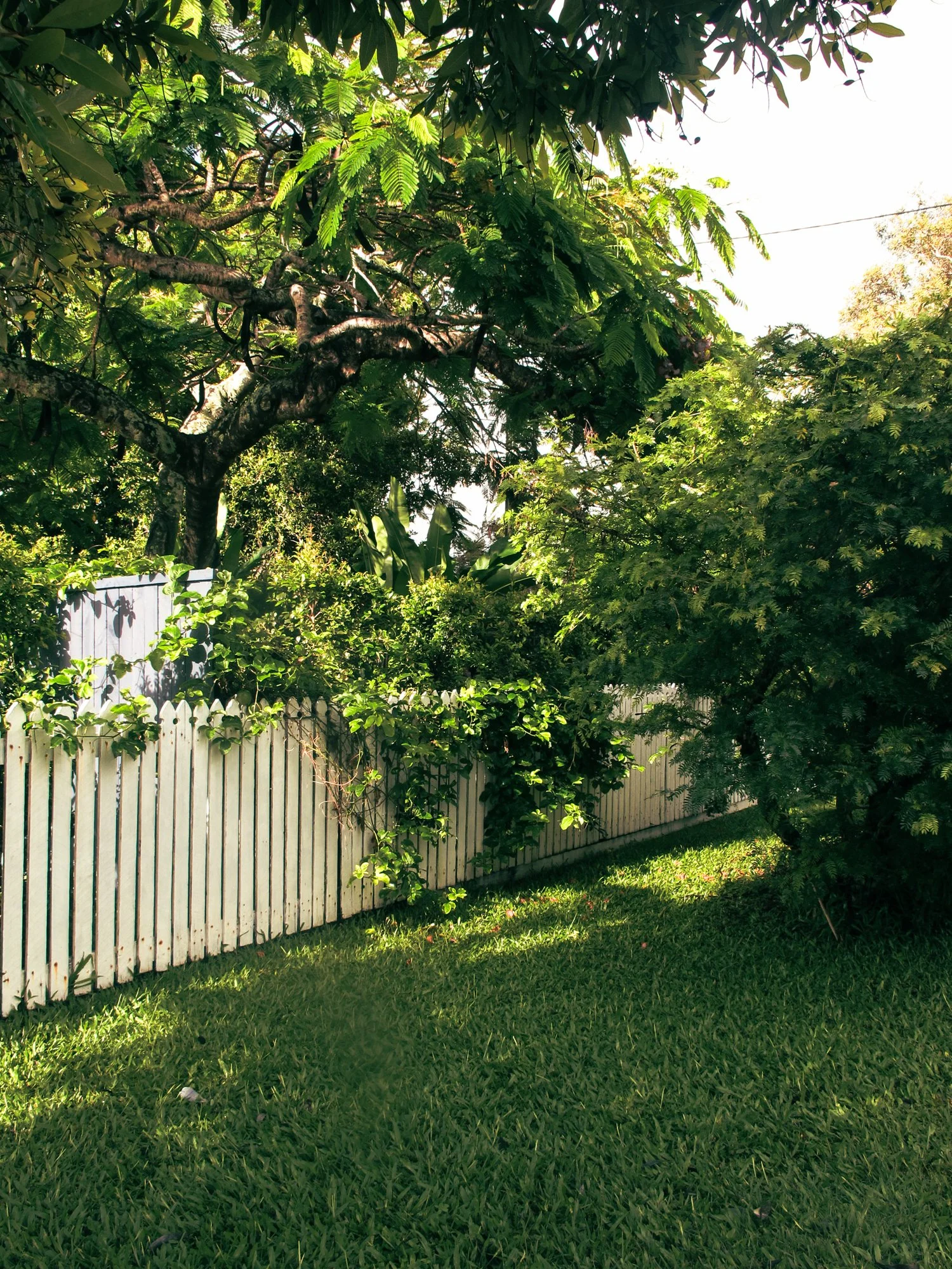 Sunshinecoast5.jpg